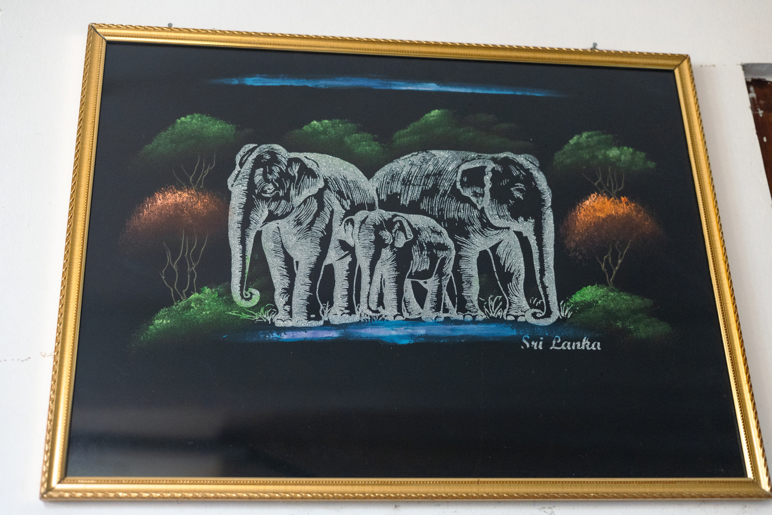 Weligama. Photographer Sonkina Tatiana (Tanya Ash)