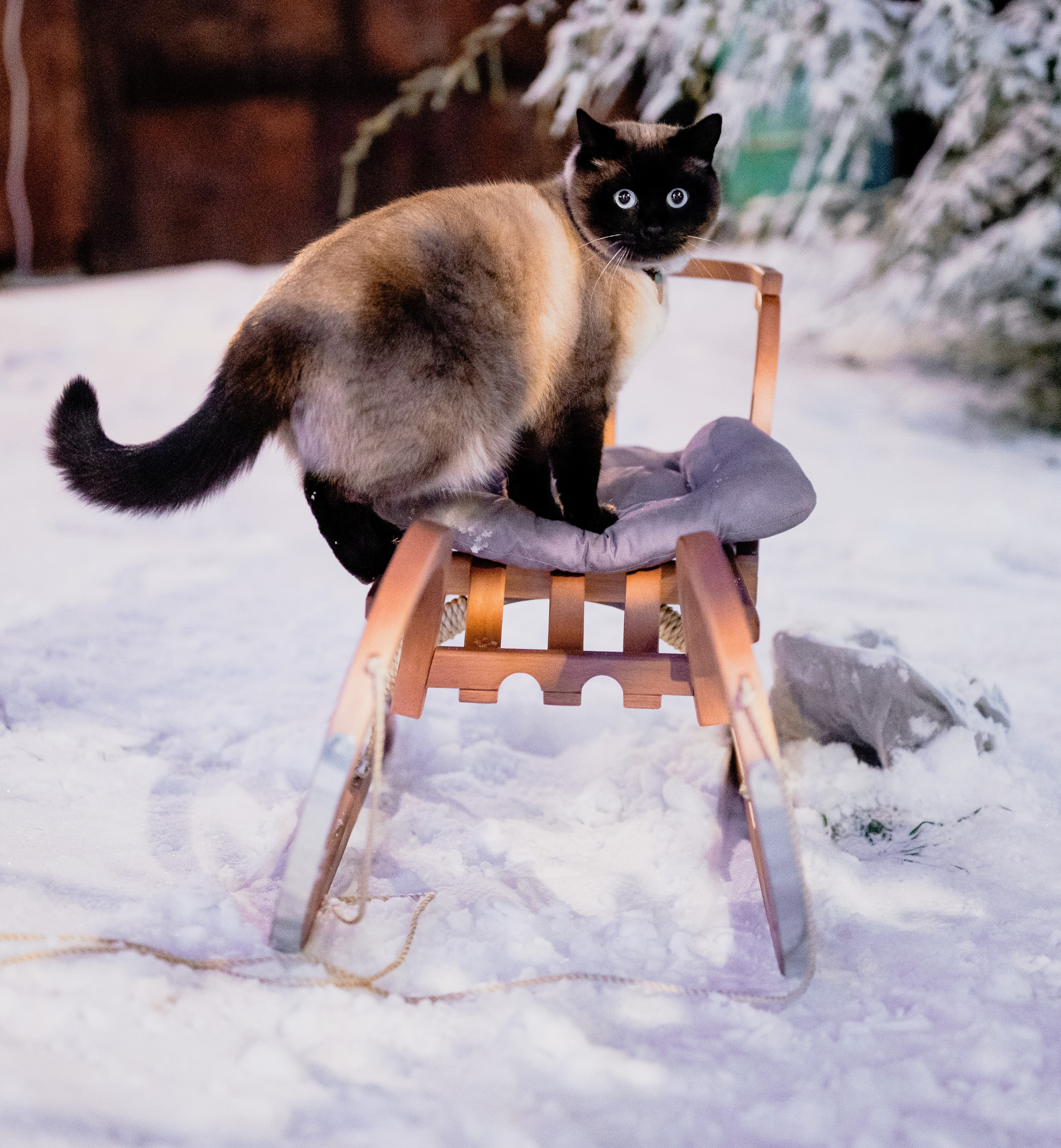 Семейная сказка. Wedding and Destination photographer Rustam Kalimullin