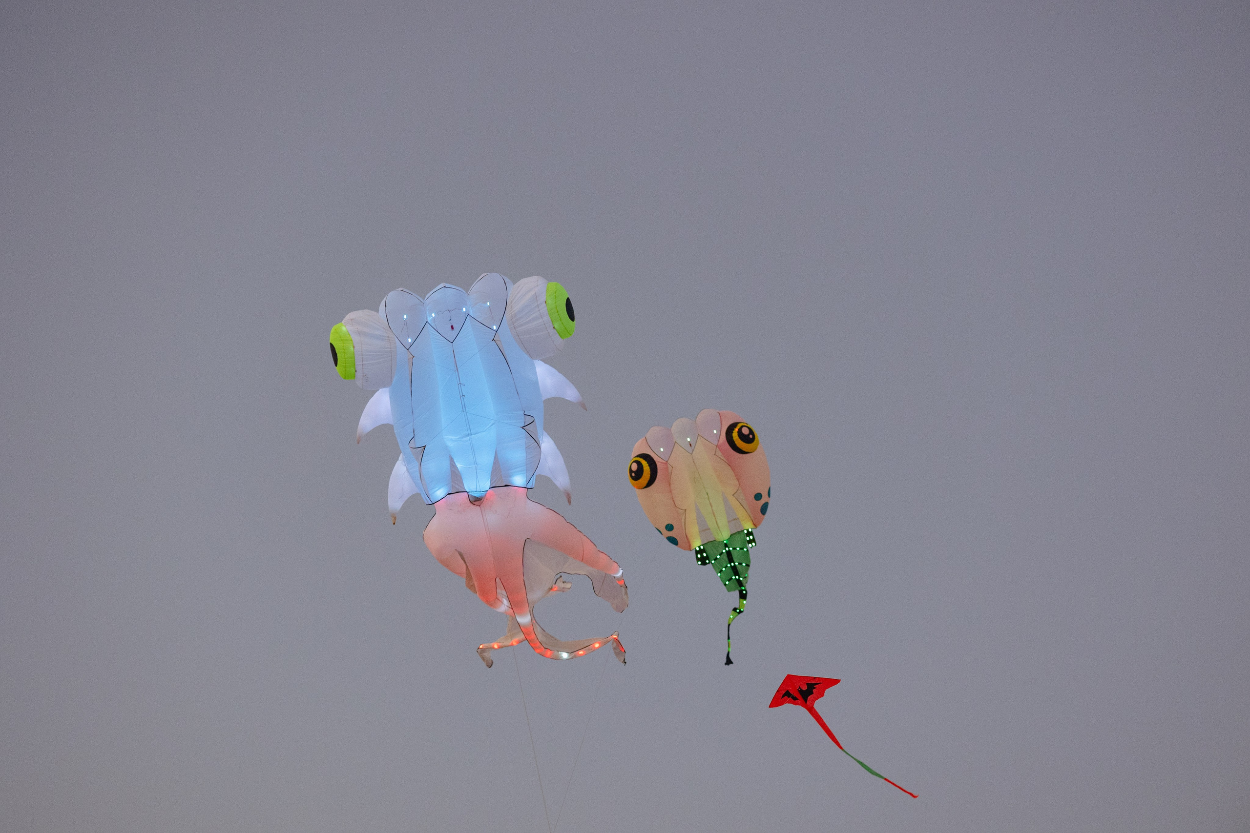 PATTAYA INTERNATIONAL KITE ON THE BEACH 2024. Photographer Sonkina Tatiana (Tanya Ash)