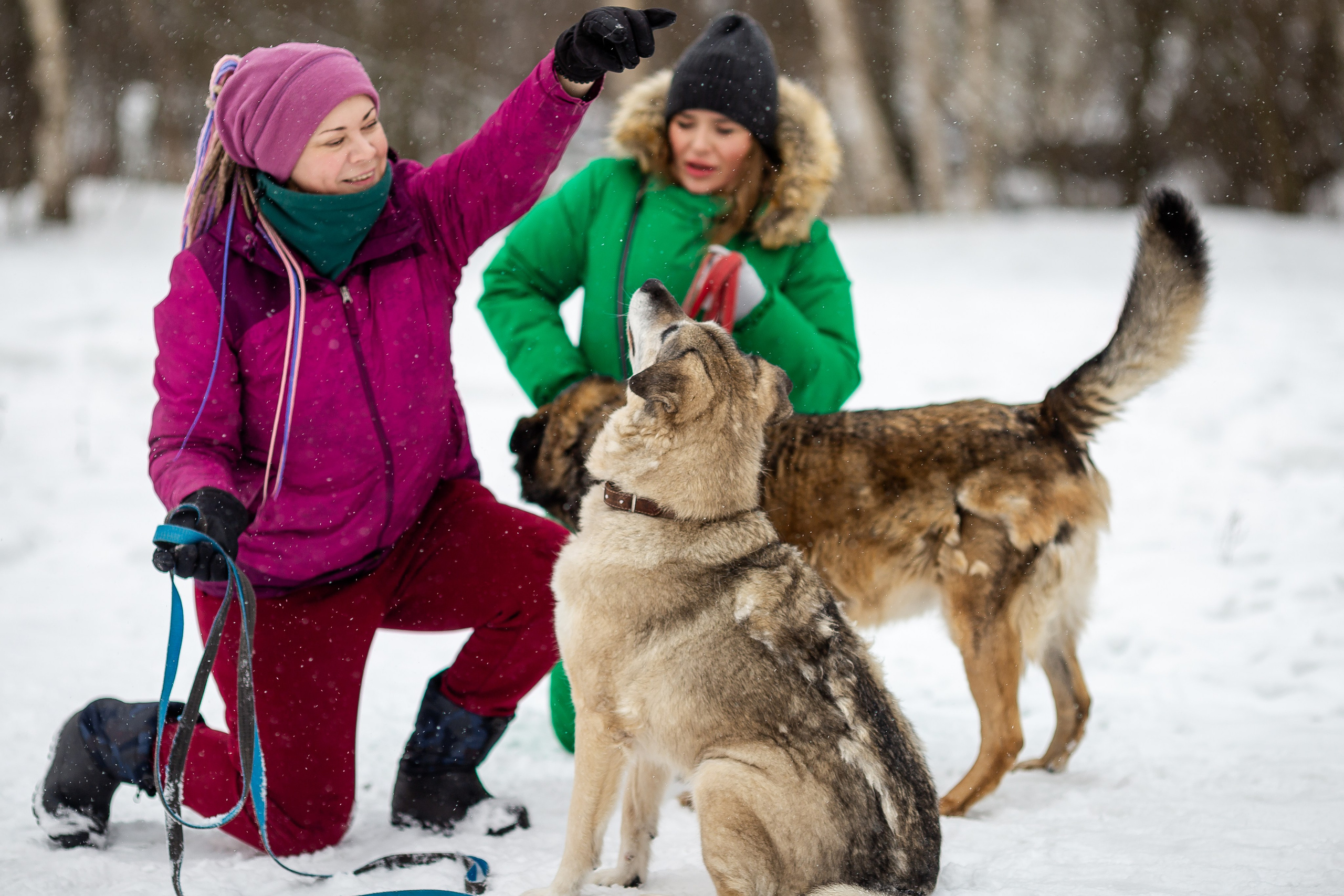 Petshop Забота. Фотограф в Санкт-Петербурге Чумаков Семен