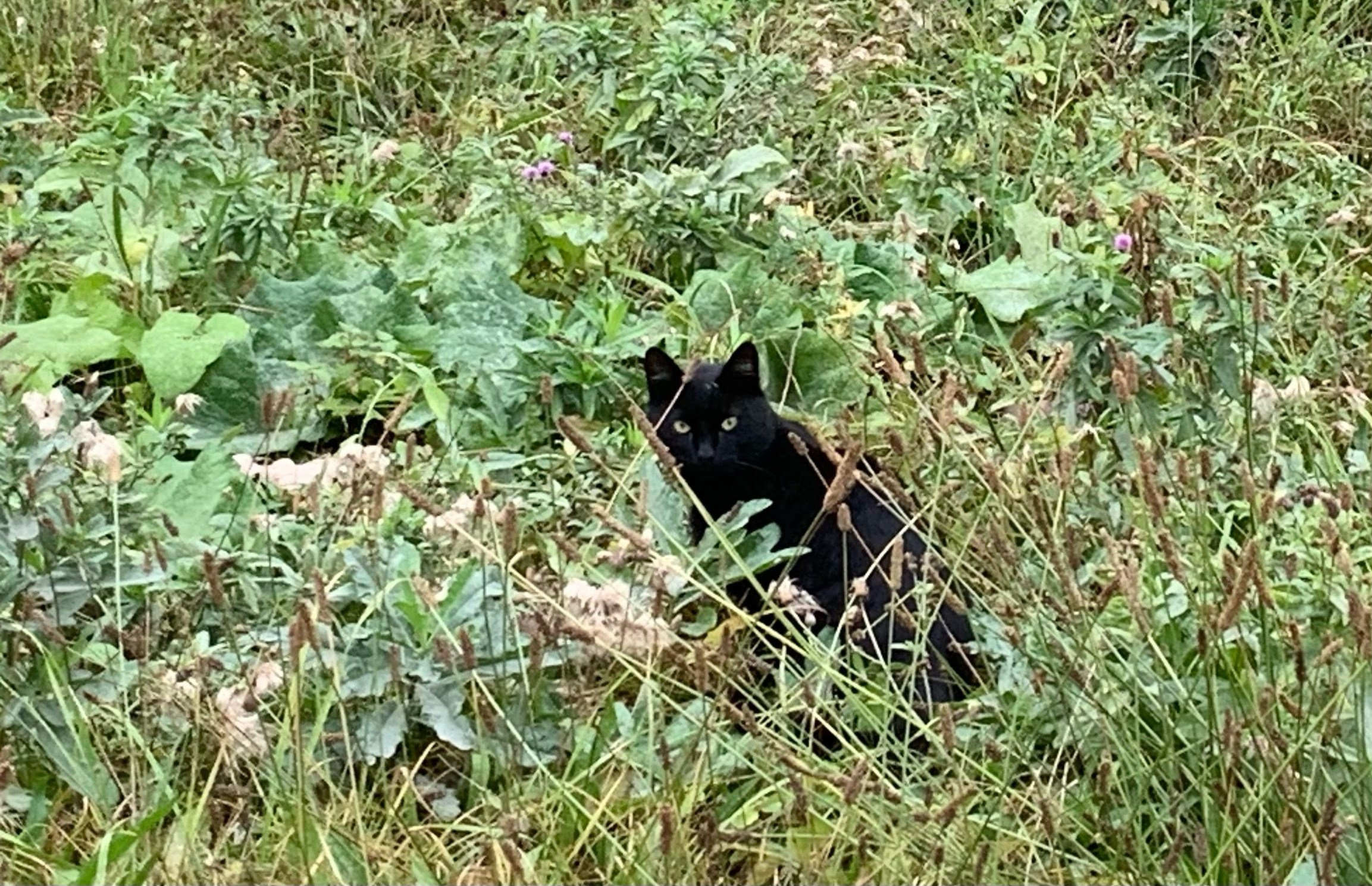 Подольск. Фотограф в Санкт-Петербурге Чумаков Семен