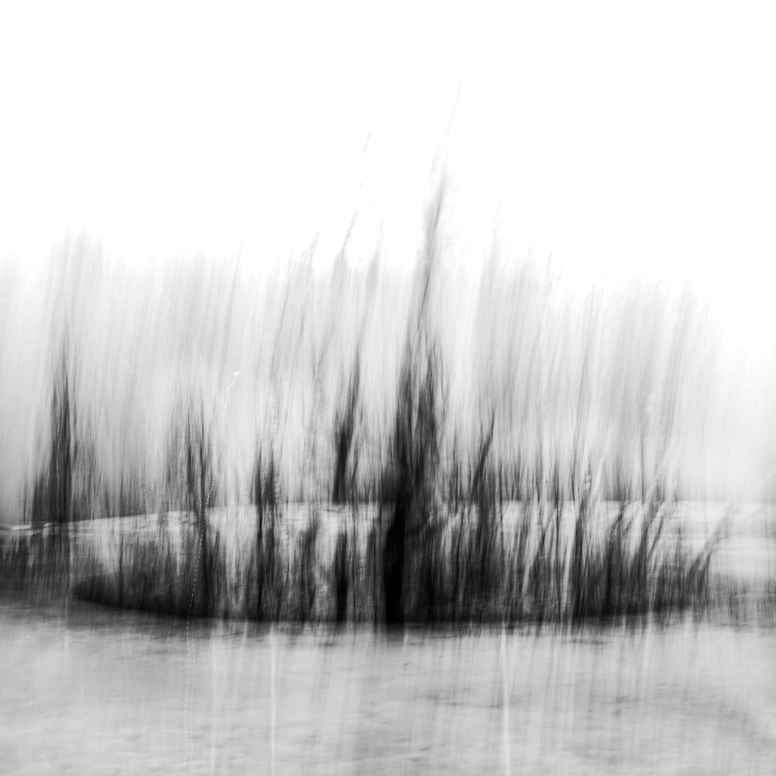 Primavera. Metagraphy