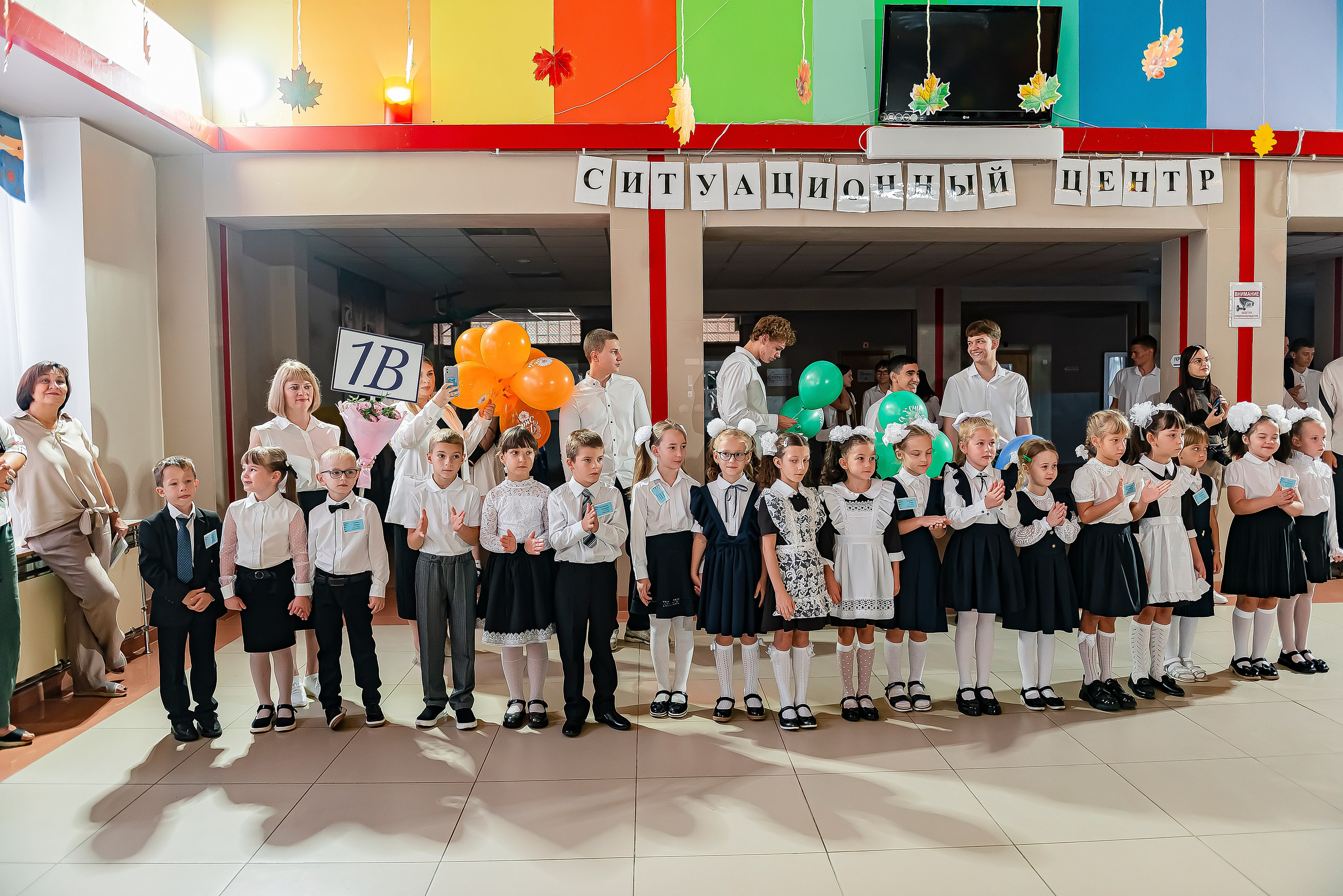 1 «В» | Гимназия № 3| г. Белгород |2024. ALBUMIA