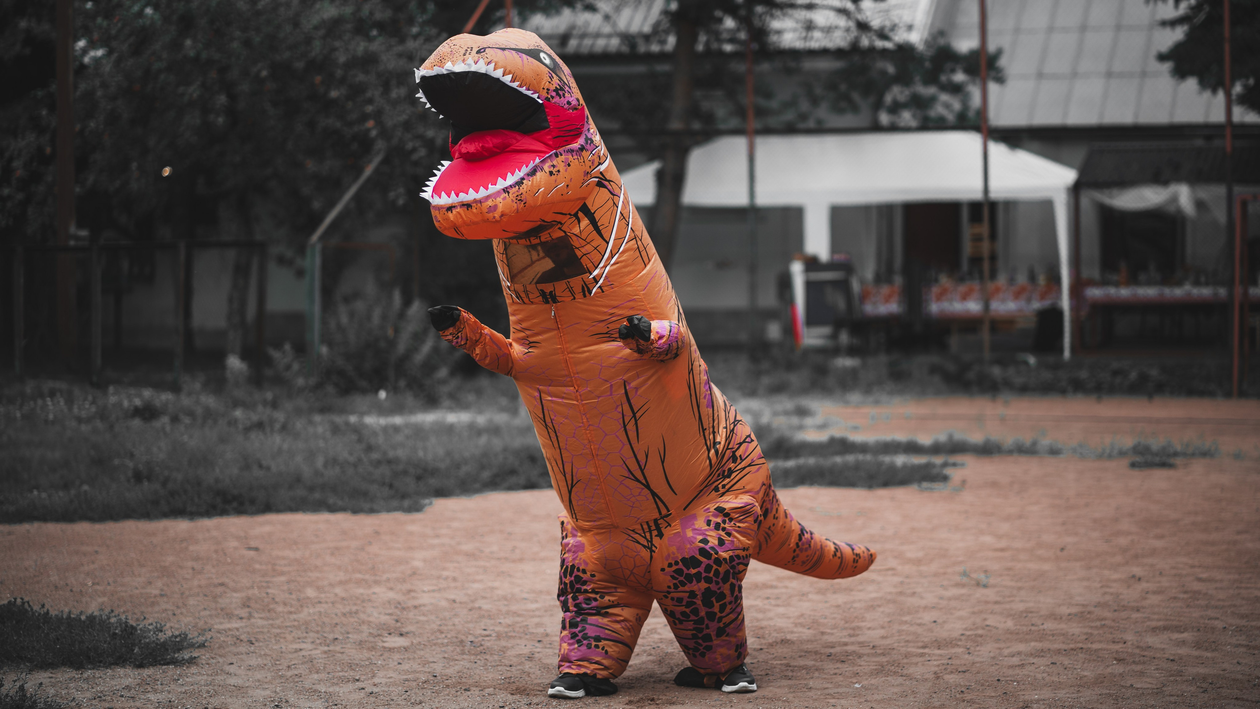 Свадьба Анастасия и Тимур. Фотограф Антон Белоусов