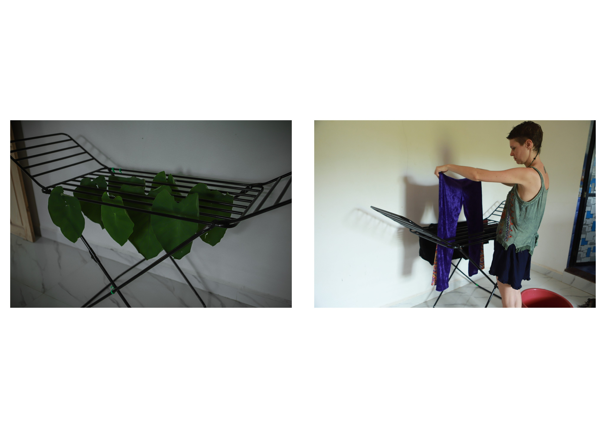 Nature me. Сайт Фотографа MASHASOLAR