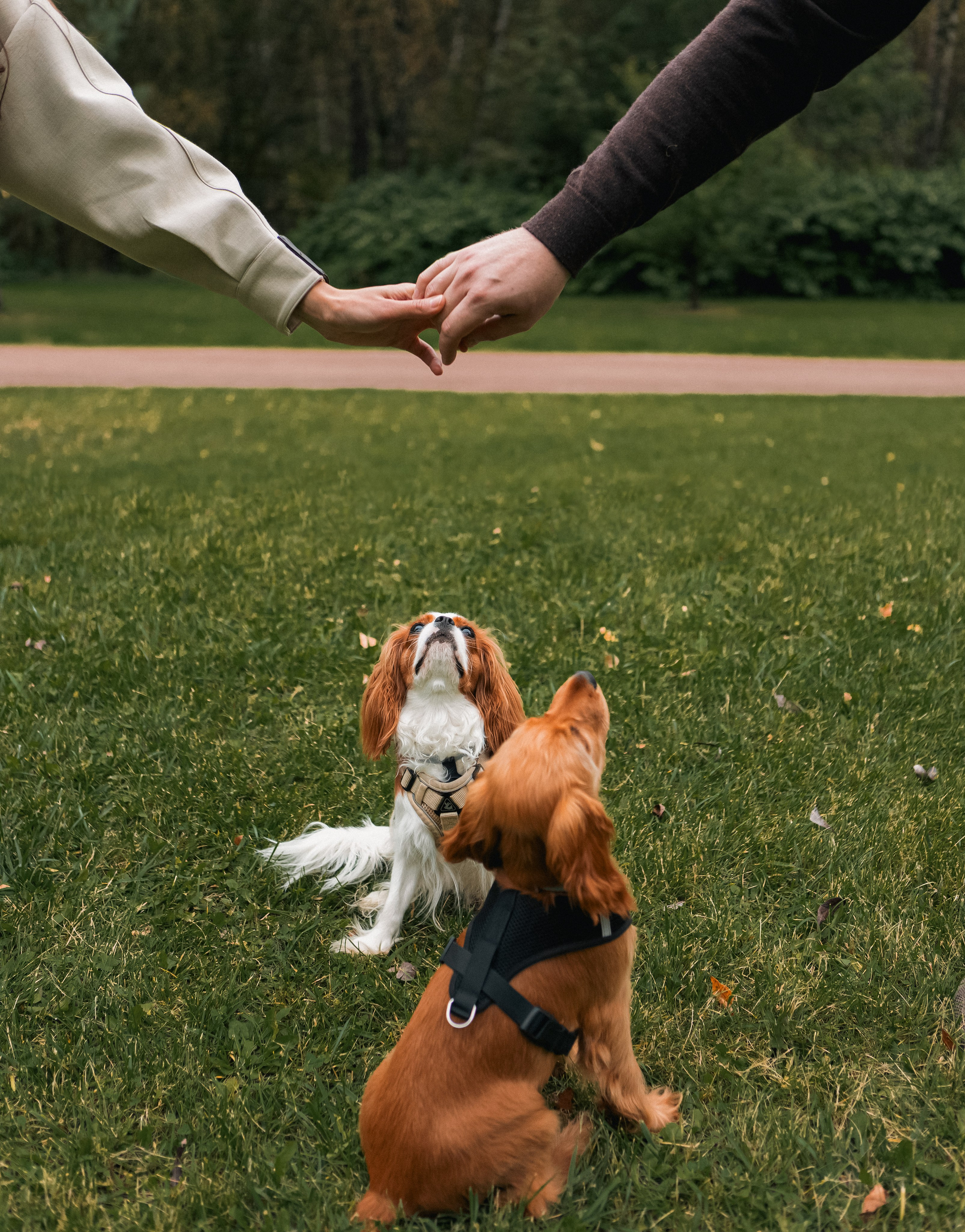 Лавстори. Портретный фотограф в Москве Анастасия