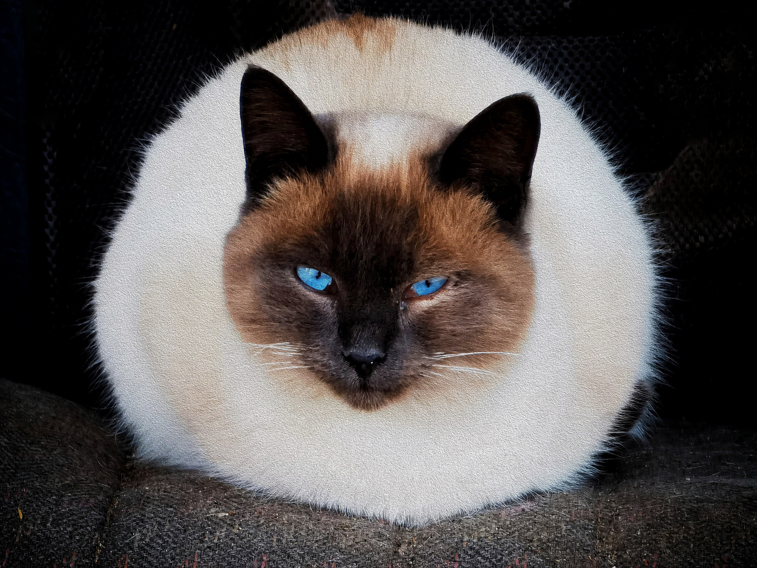 Стрит и пейзажи. Главная