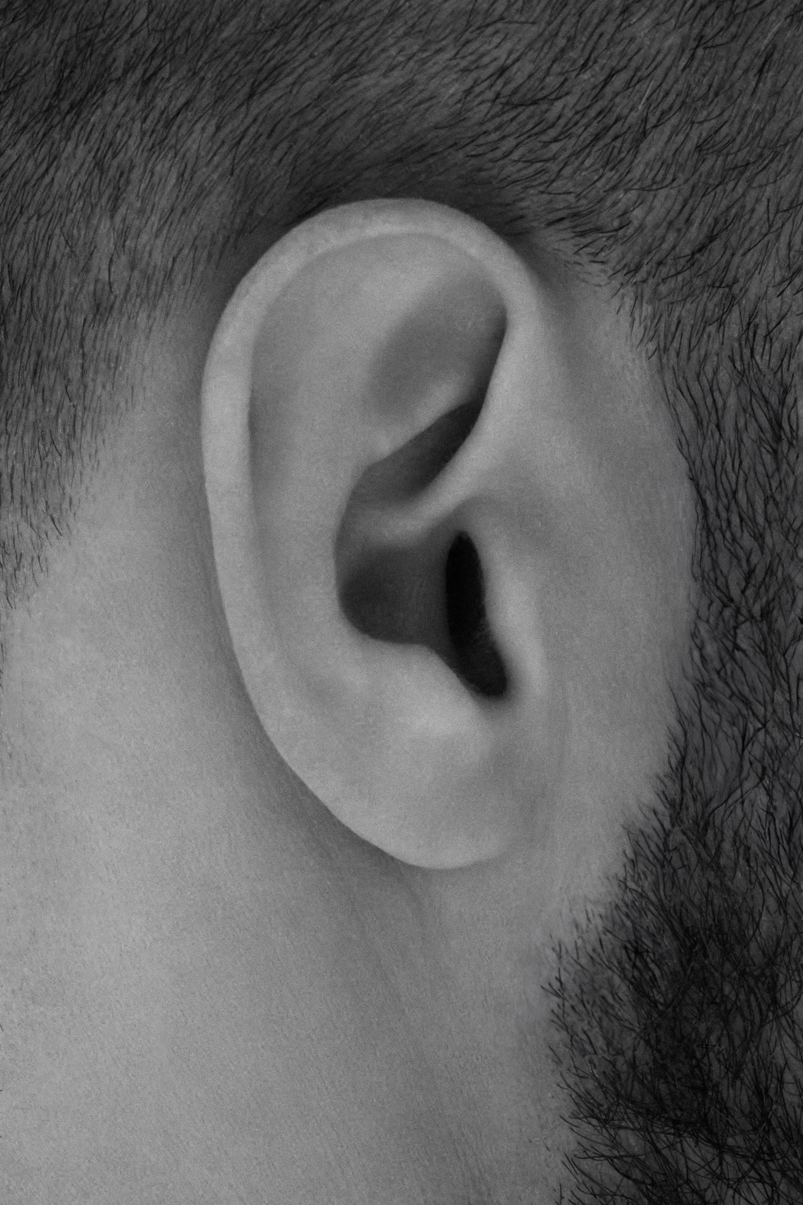 Прогулка. Свадебный фотограф Виктория Роса