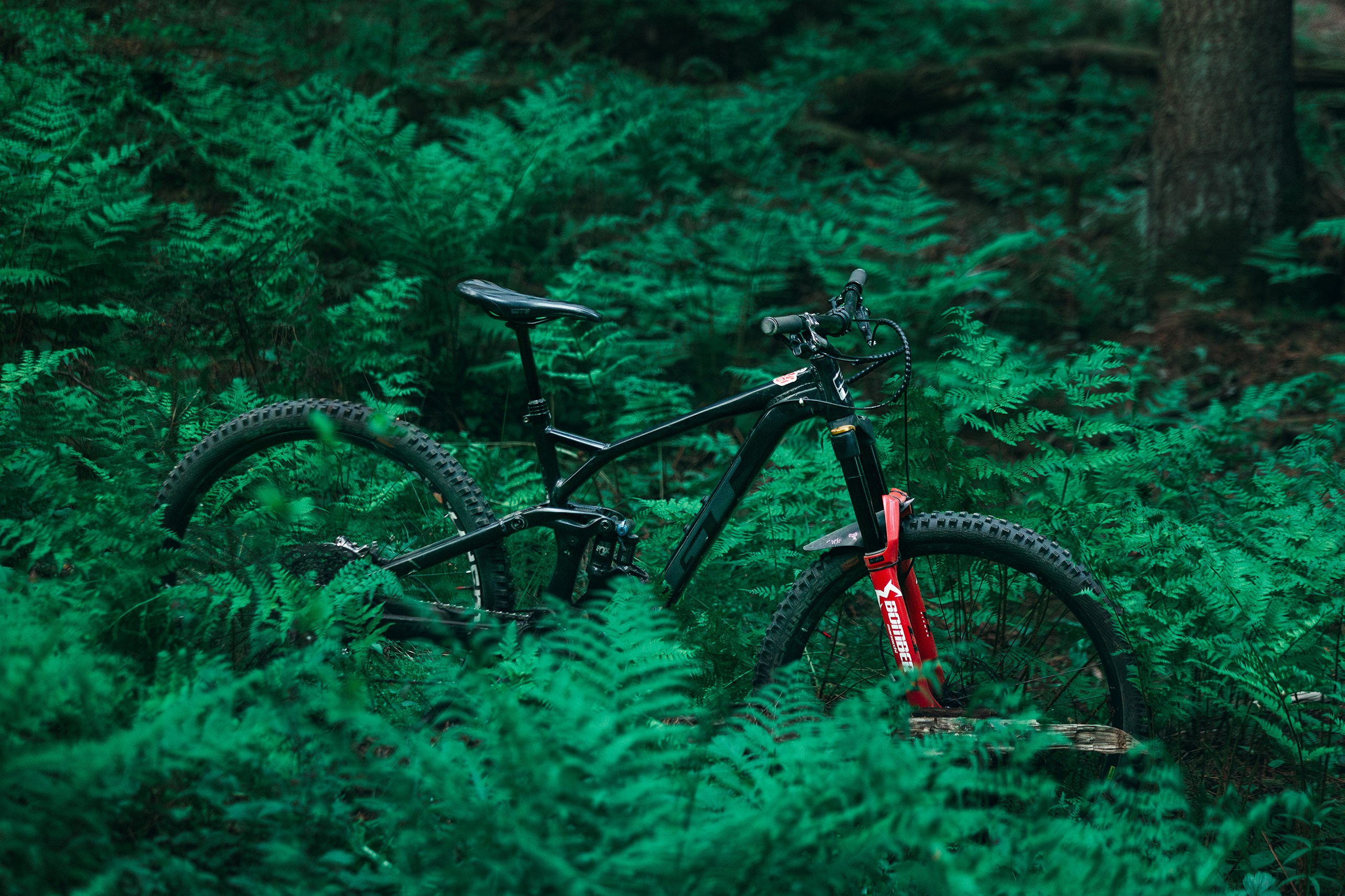 Саша и Ваня. Фотограф анималист Никита Натальный