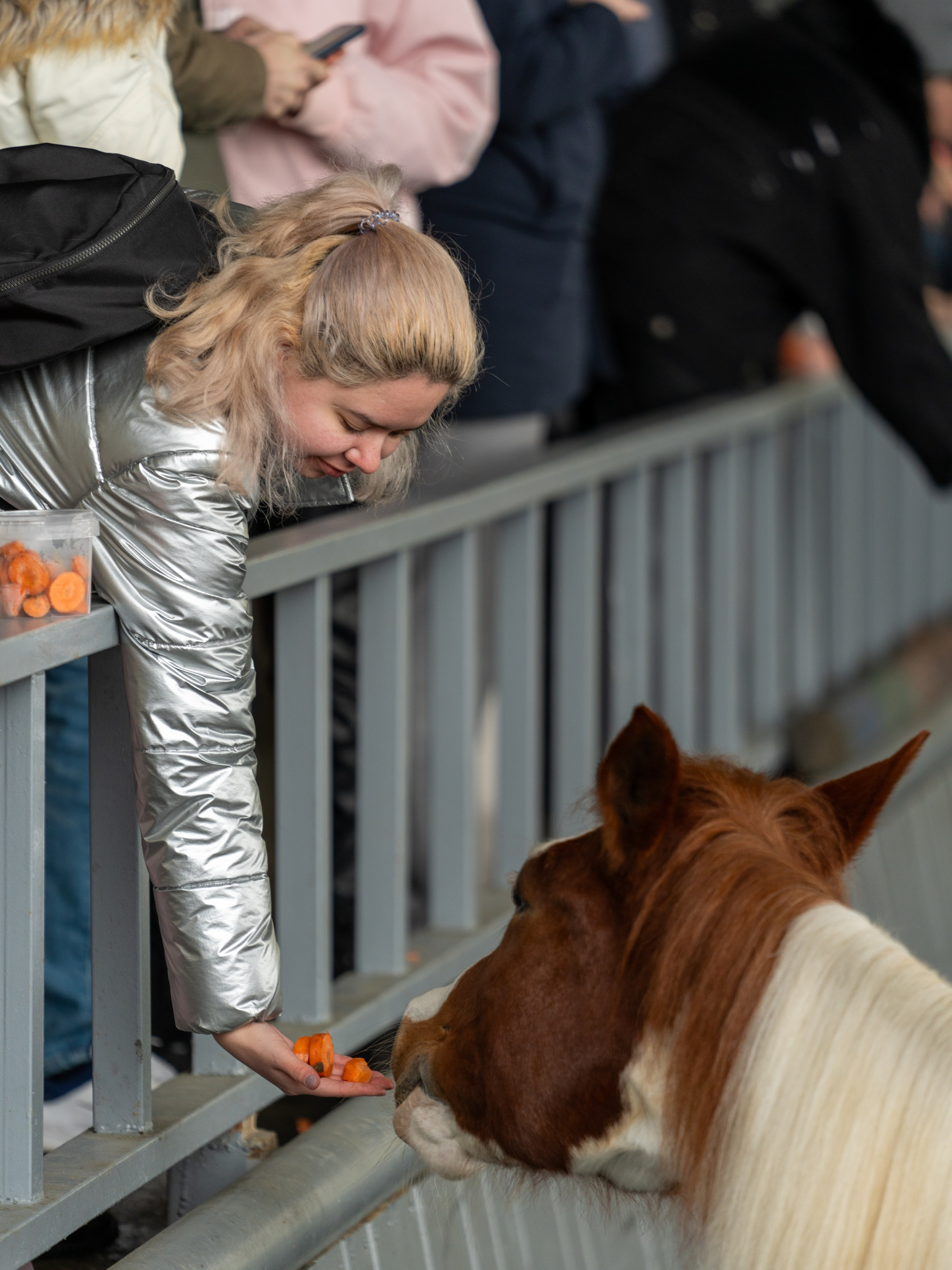 MICE мероприятие на ферме Экзархо. Репортажный фотограф в Красной Поляне и Сочи Павлюченко Екатерина