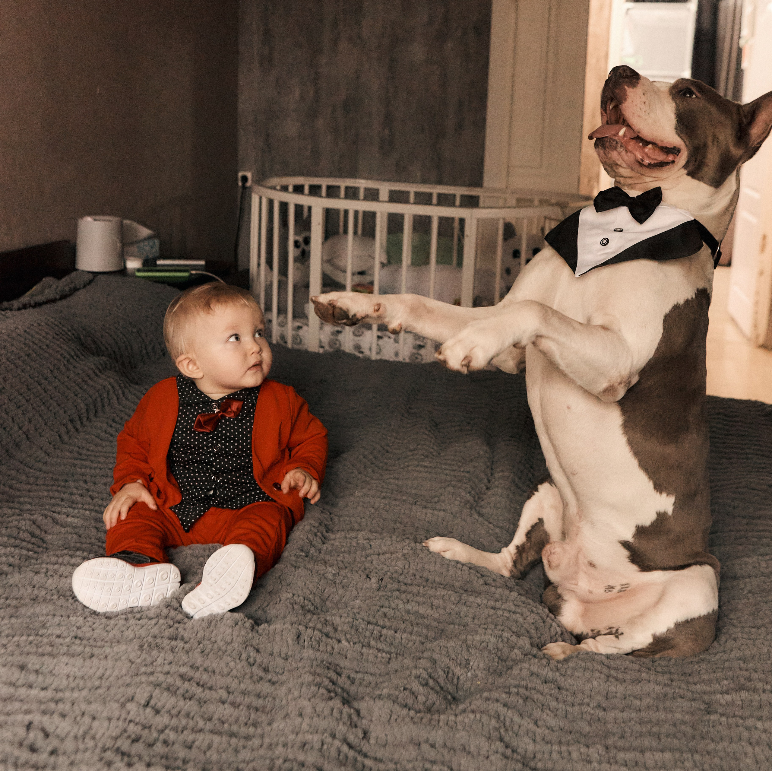 фотосессия годовалого ребенка с собакой дома