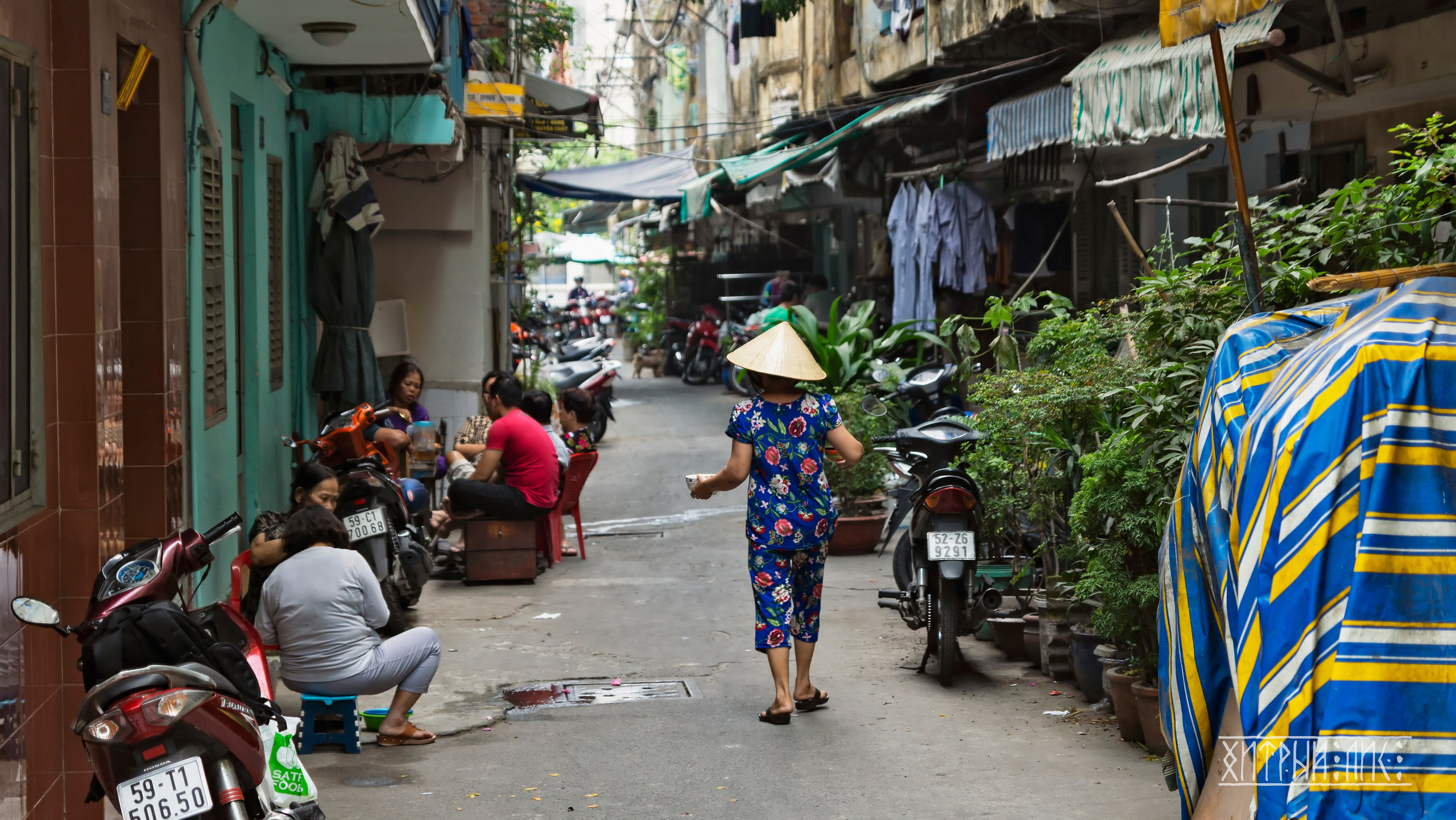 Вьетнам. Фотограф-путешественник Самойлов Максим «Sly Fox»