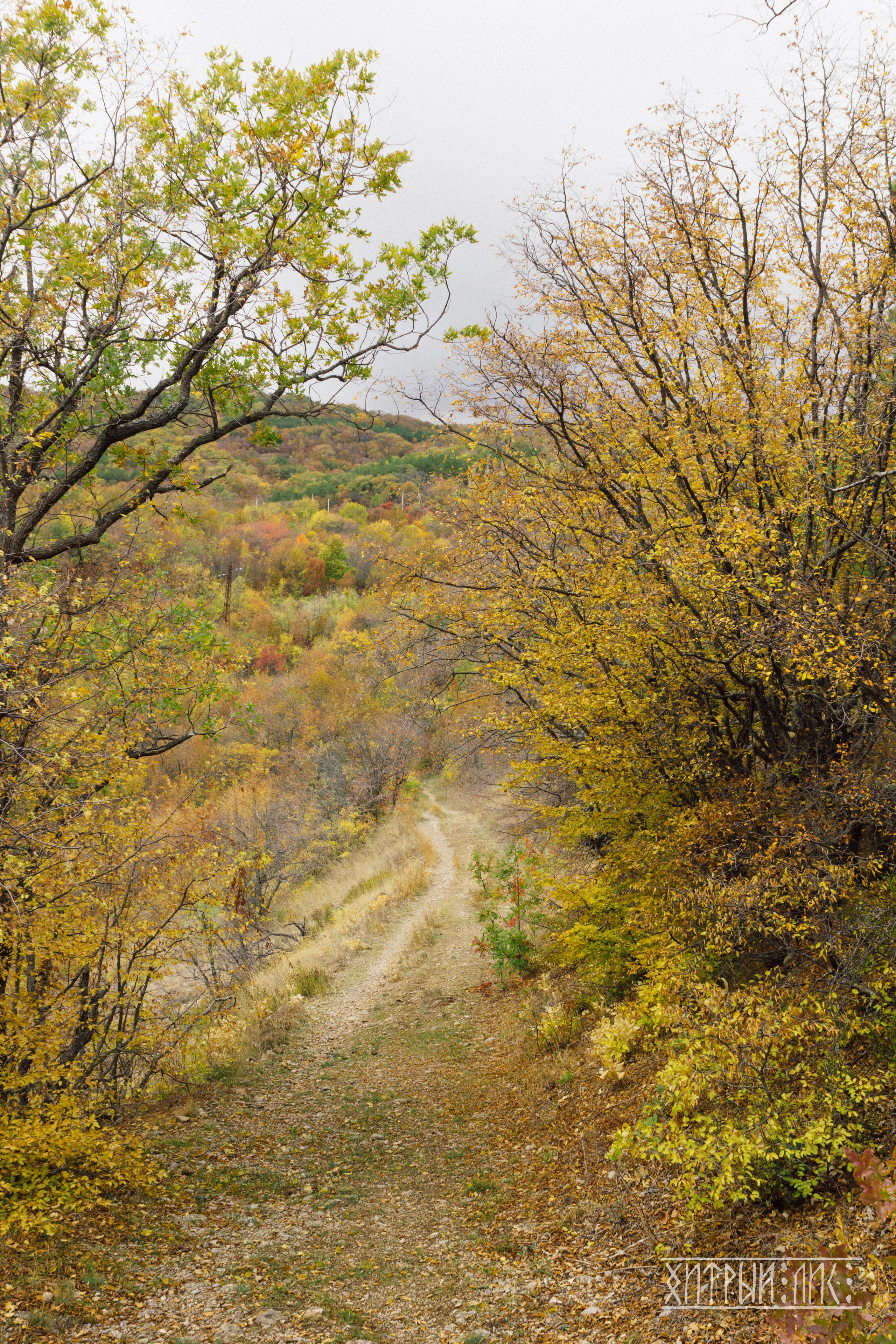 Крым. Фотограф-путешественник Самойлов Максим «Sly Fox»