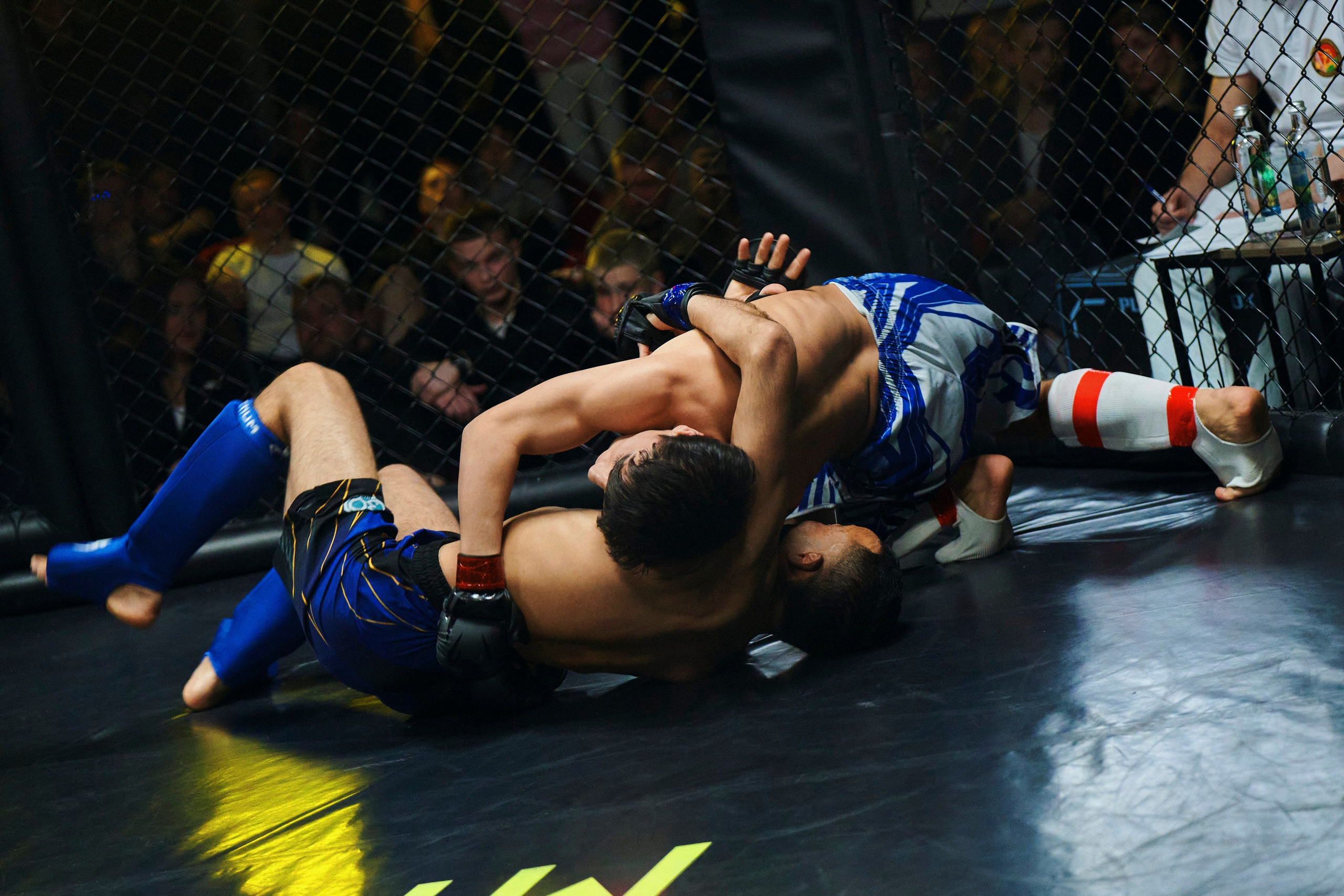 Единоборства. Главная