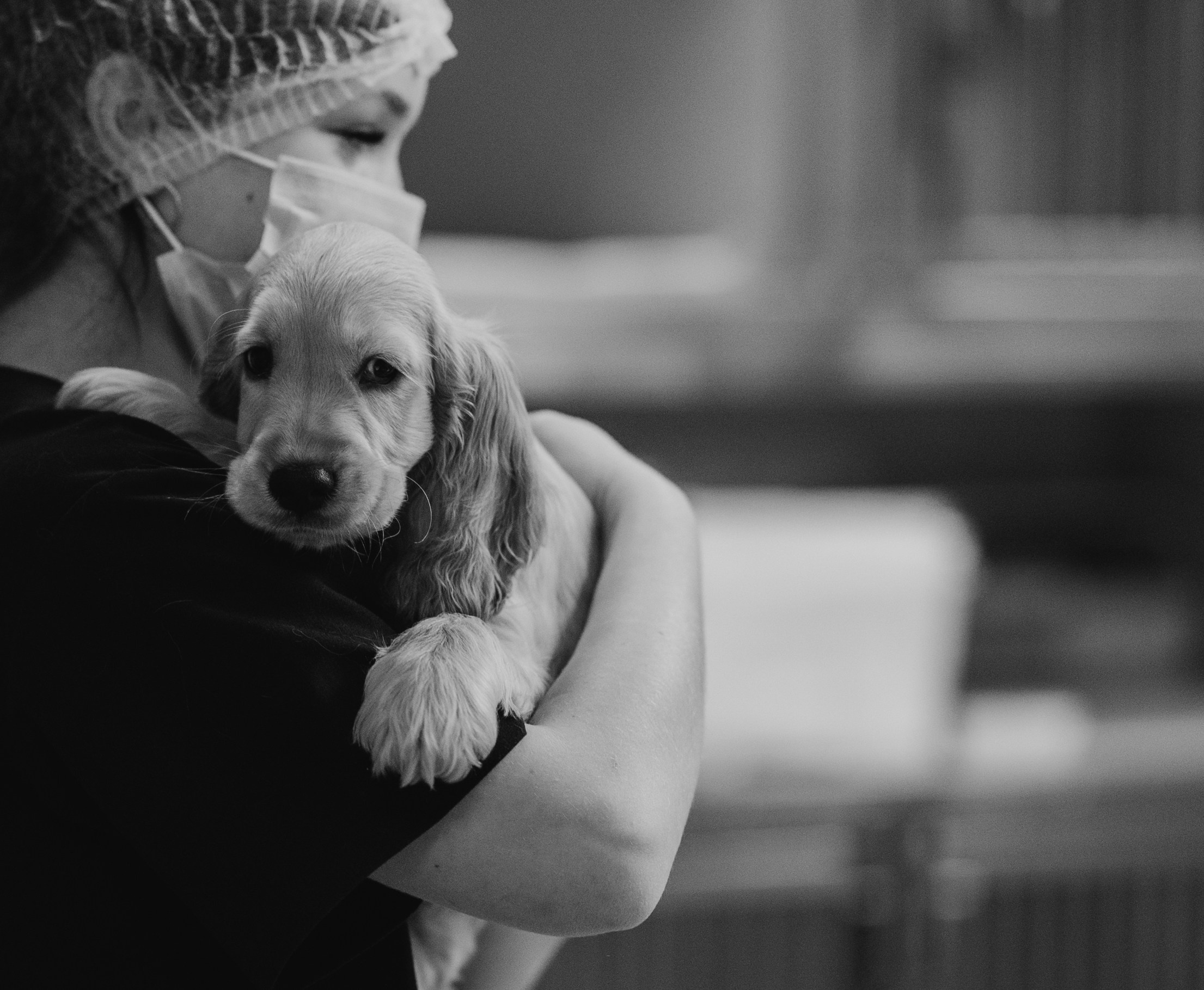 VetLife. Татьяна Афонина | Фотограф