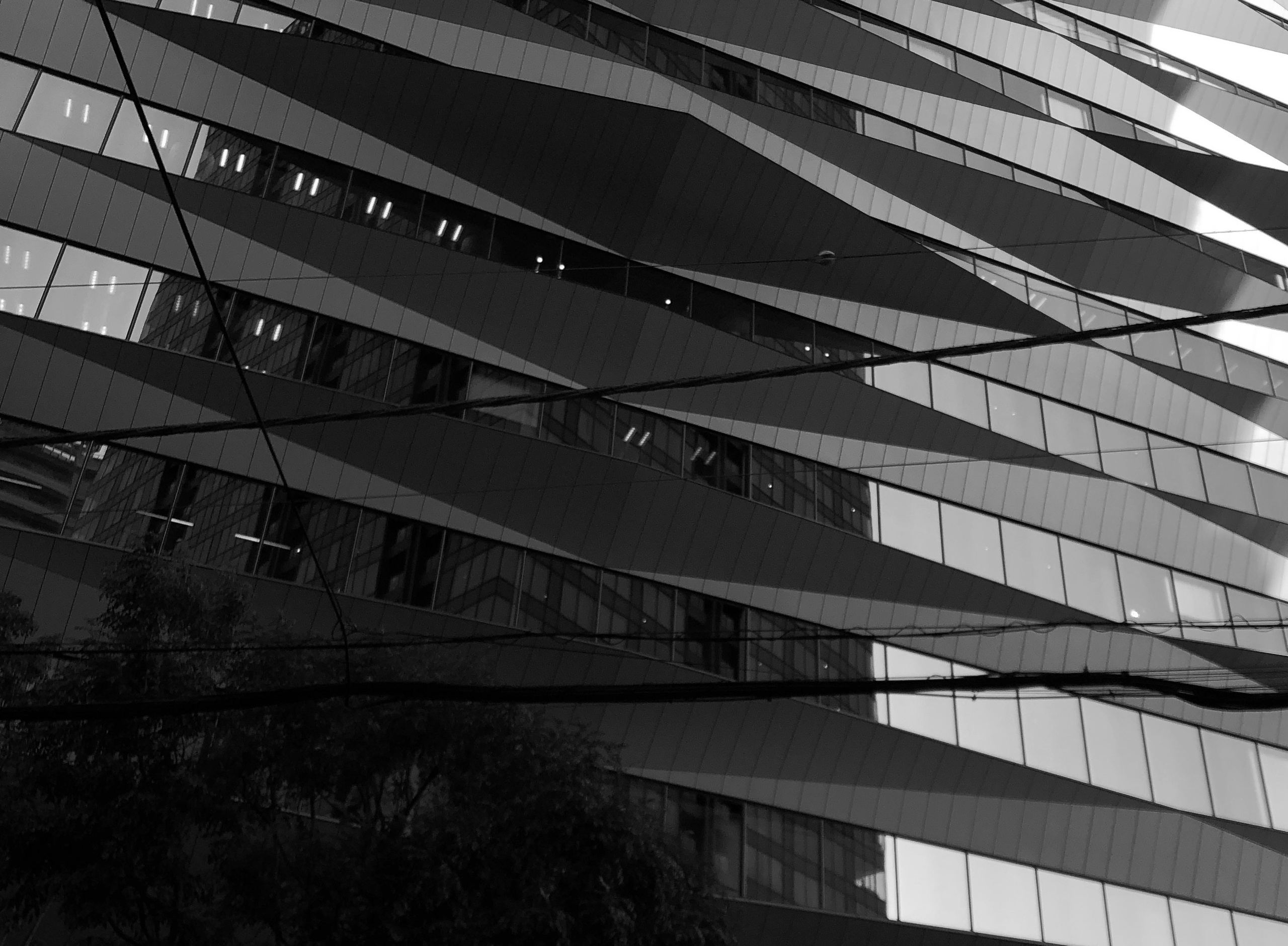 Кисловодск — Токио. Смотри, красота!