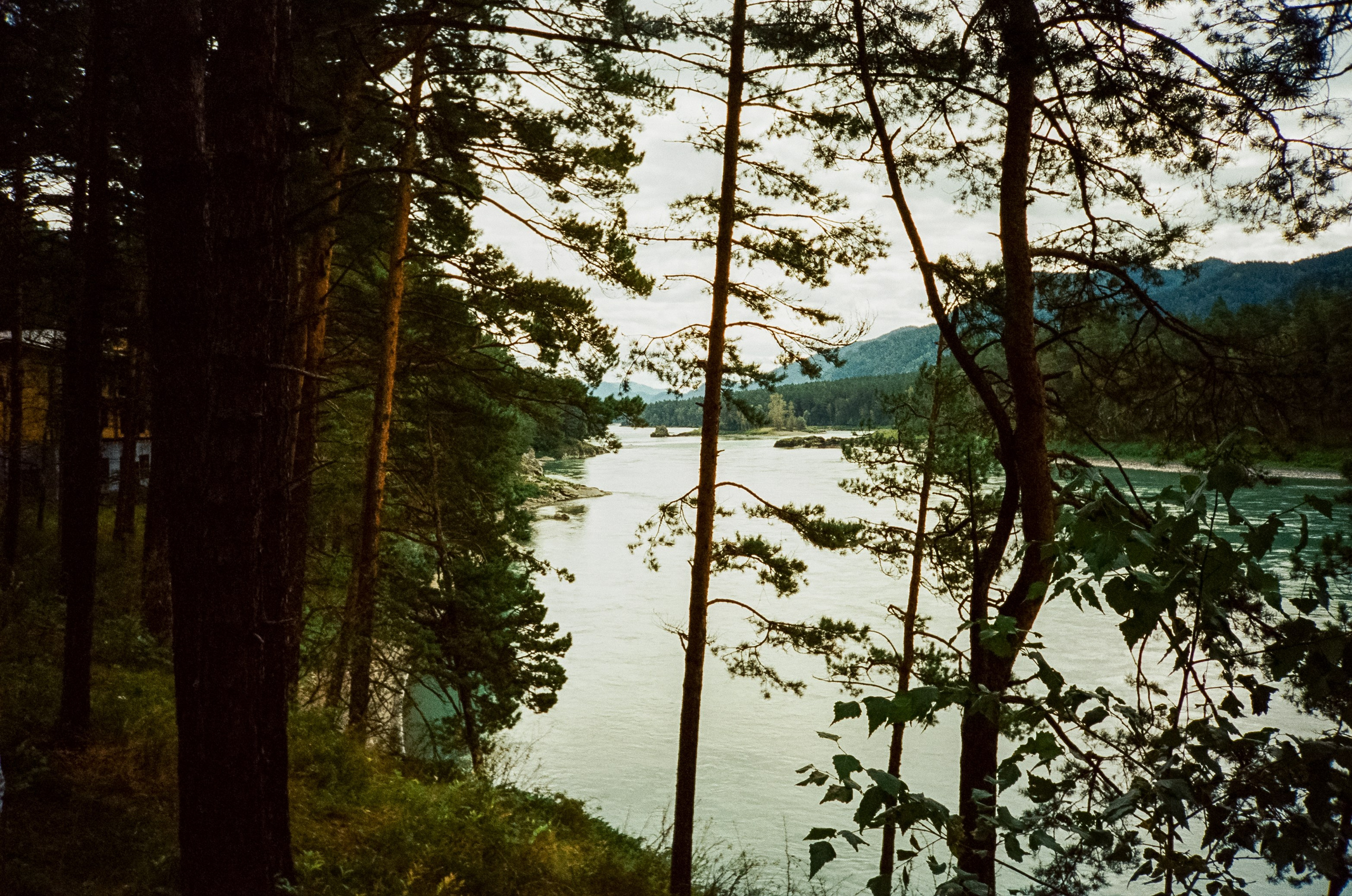 Мост Царская охота, село Черга в Верхах Алтая и Манжерокский порог. Фотограф-документалист Мария Осокина