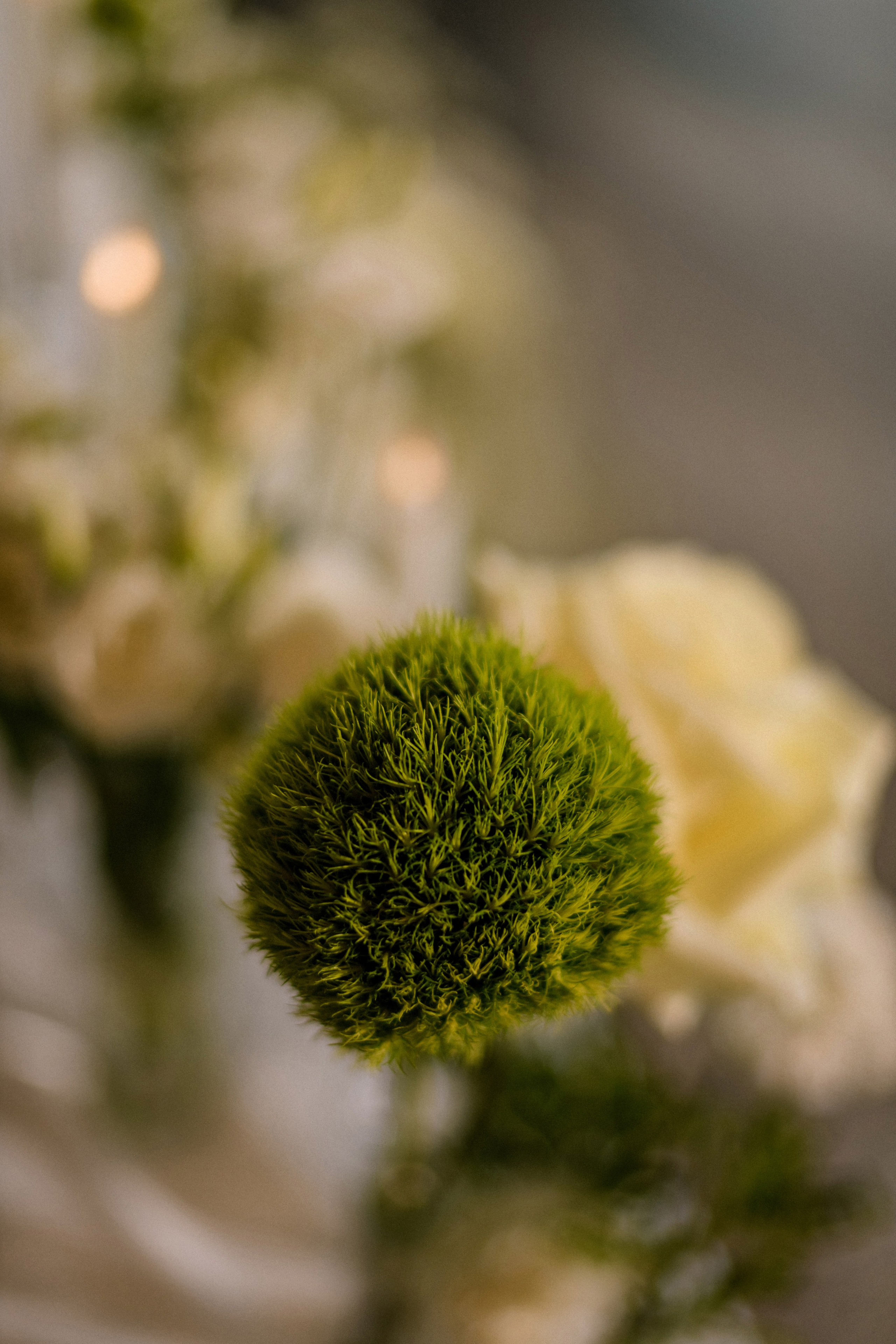 02.08.26 Валерия и Даниил. Свадебный фотограф в Санкт-Петербурге София Шубик
