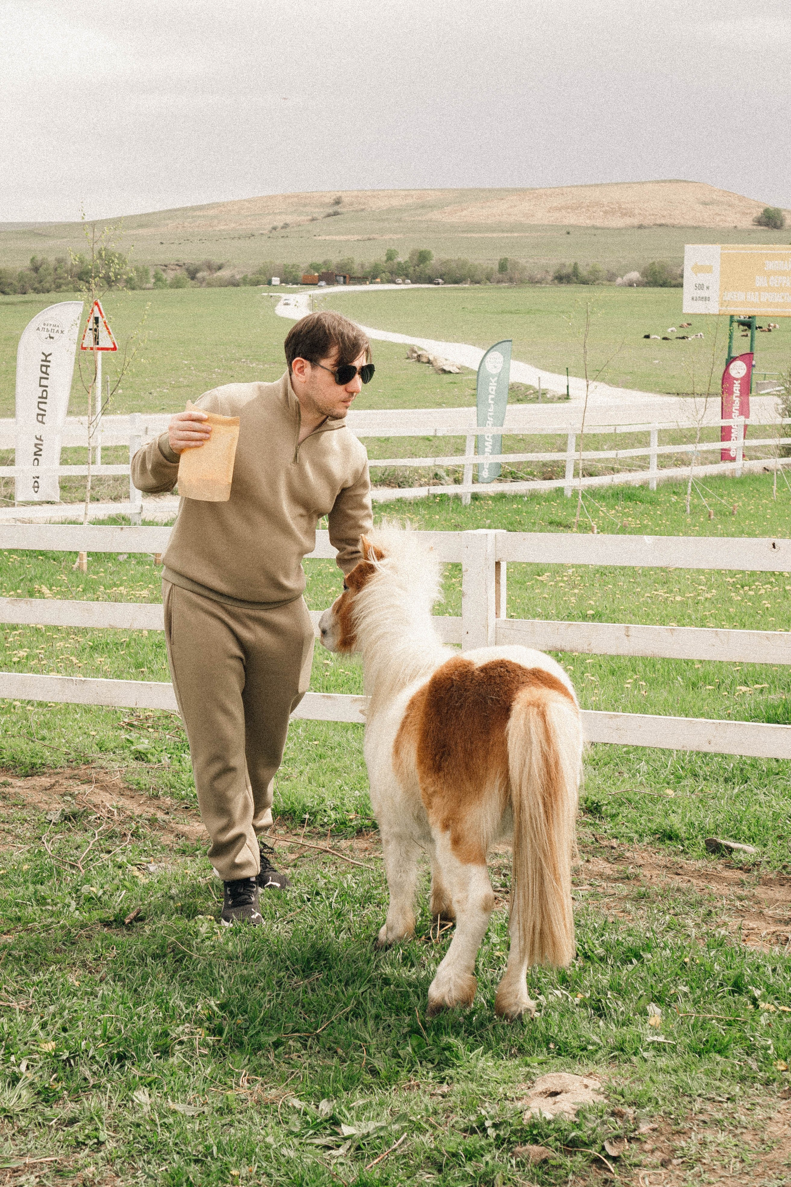 Ферма Альпак. Профессиональный фотограф, Санкт-Петербург — Виктория Богомолова