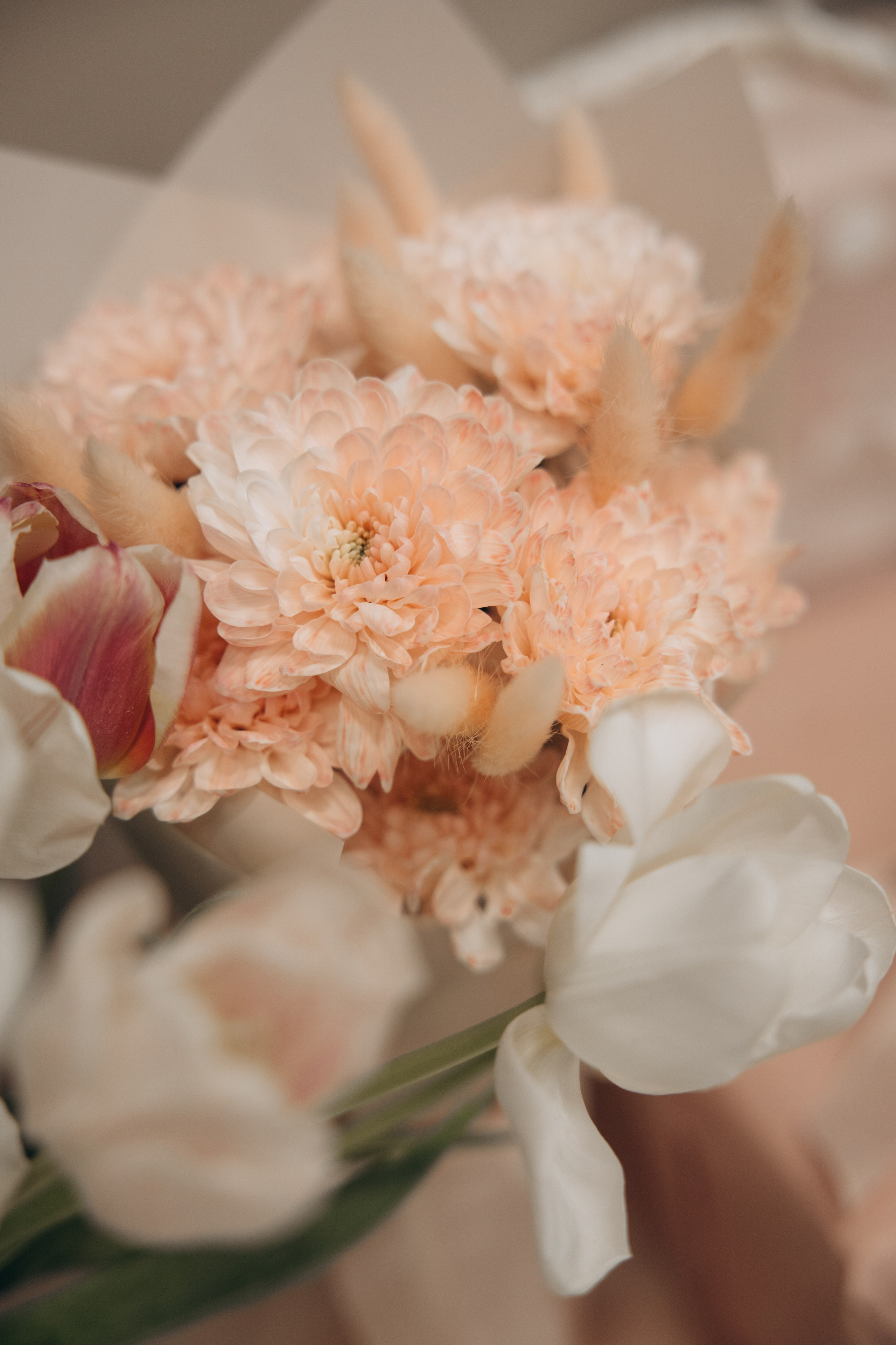 Стефании 2 года. Свадебный, семейный фотограф в Иркутске Светлана Макаричева