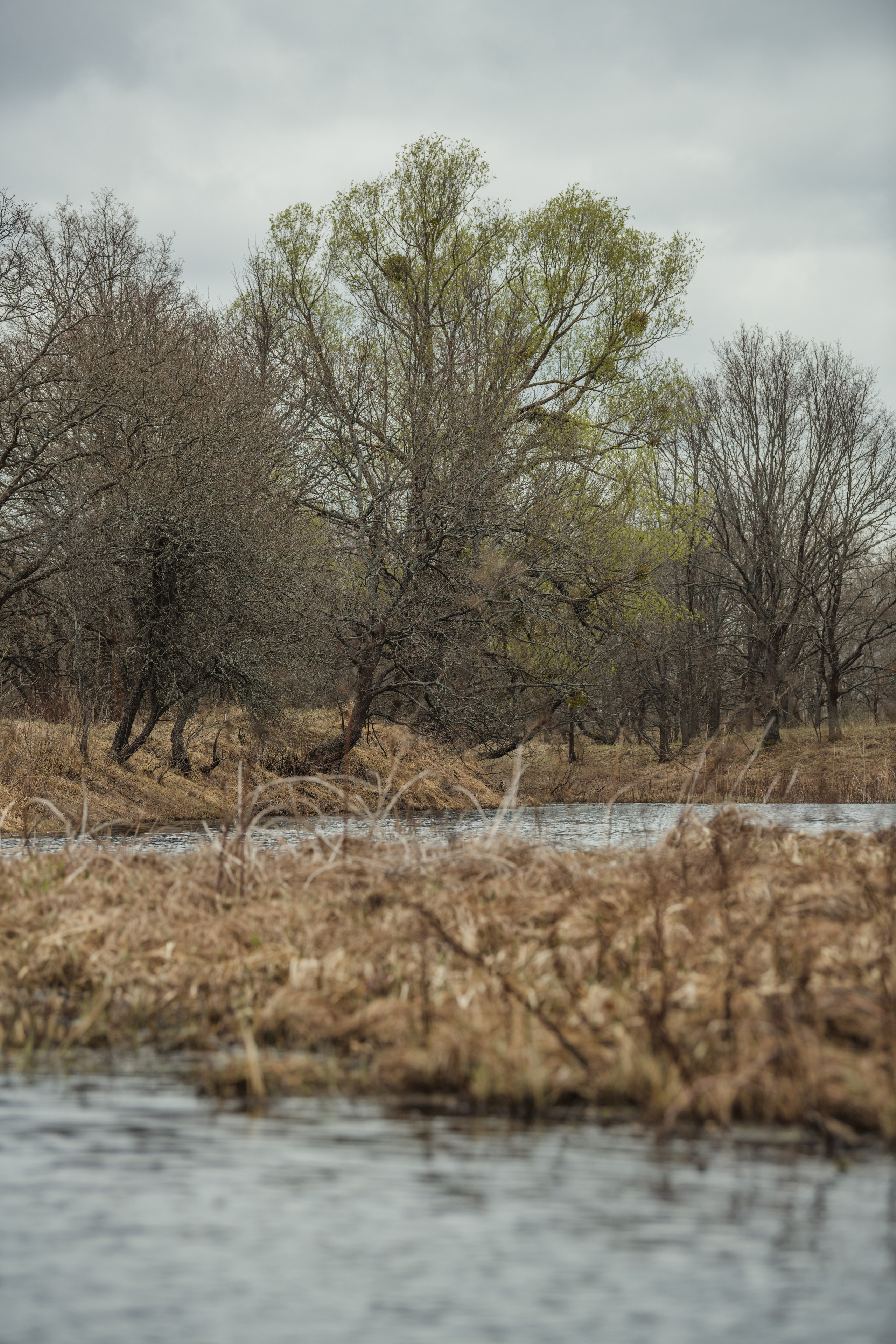 Разведка нового маршрута. Репортажный фотограф Владимир Беляй