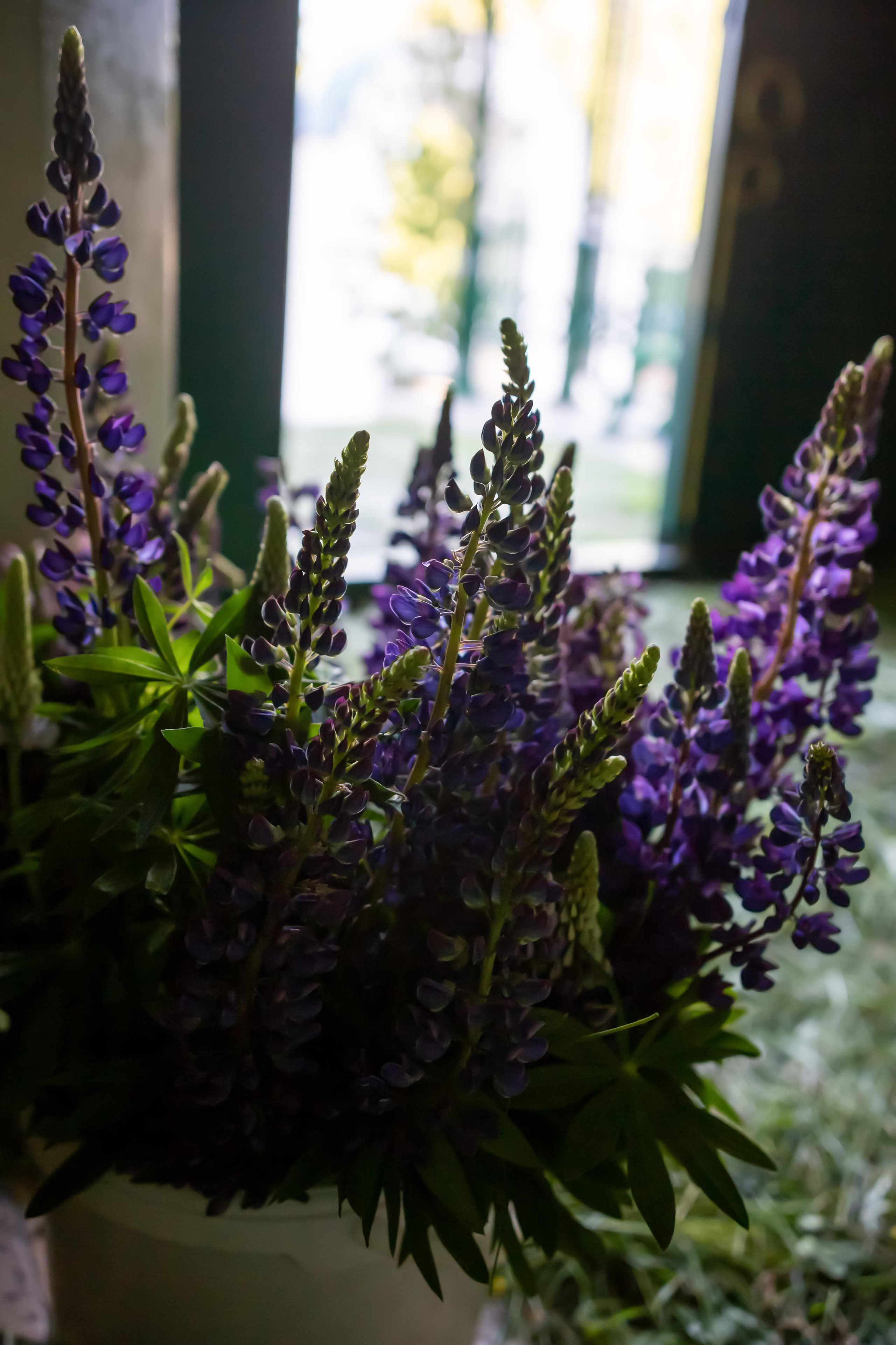 День Святой Троицы — Пятидесятница в Георгиевский храм с. Ванилово. Семейный и детский фотограф Анна Петракова