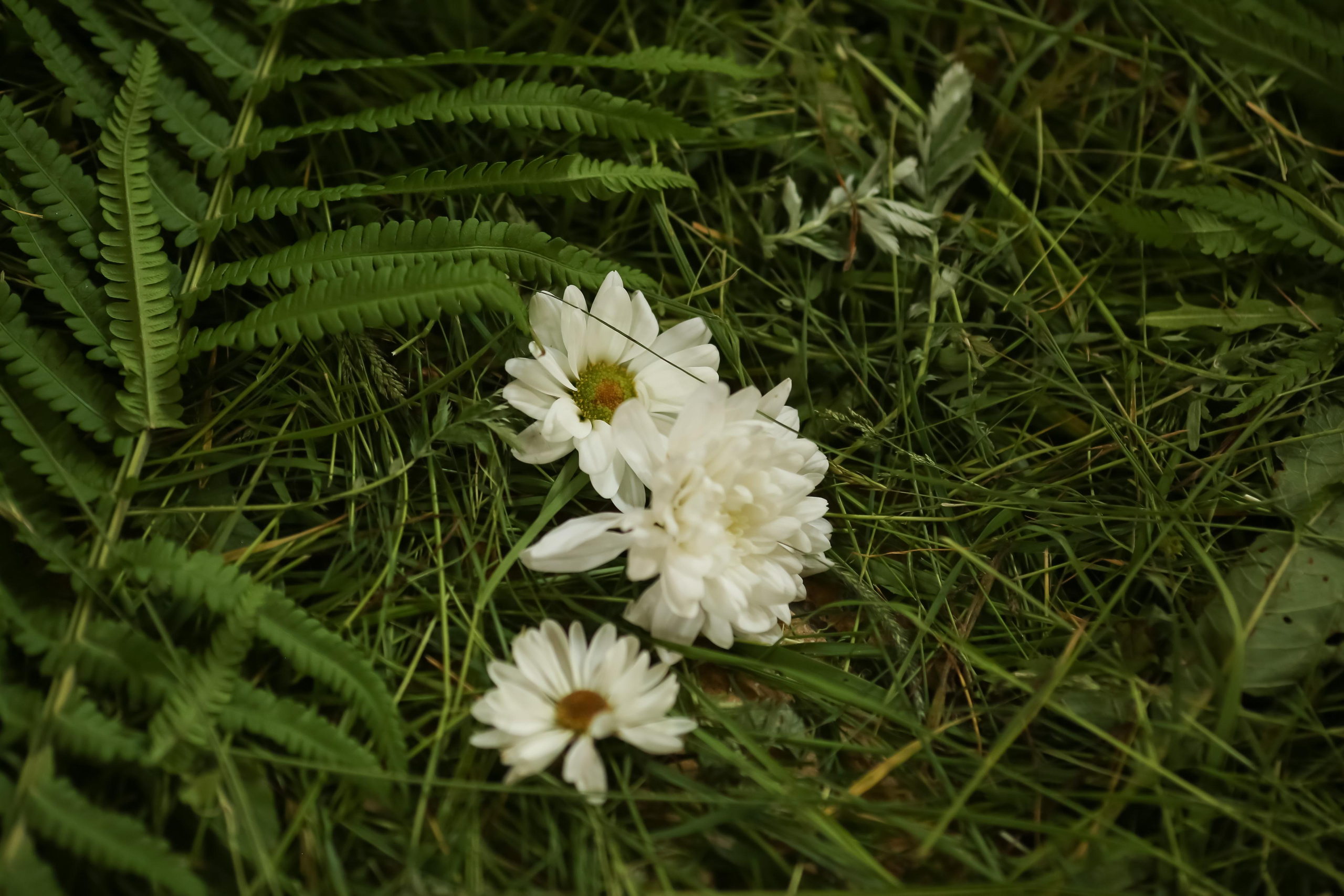 День Святой Троицы — Пятидесятница в Георгиевский храм с. Ванилово. Семейный и детский фотограф Анна Петракова