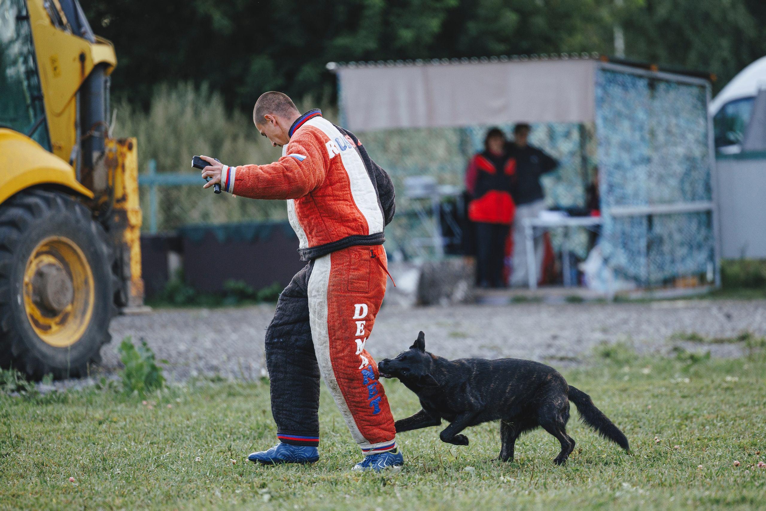 08.08.25-10.08.25 ЧР по мондьорингу г. Вологда. Фотограф-анималист Анна Маринич
