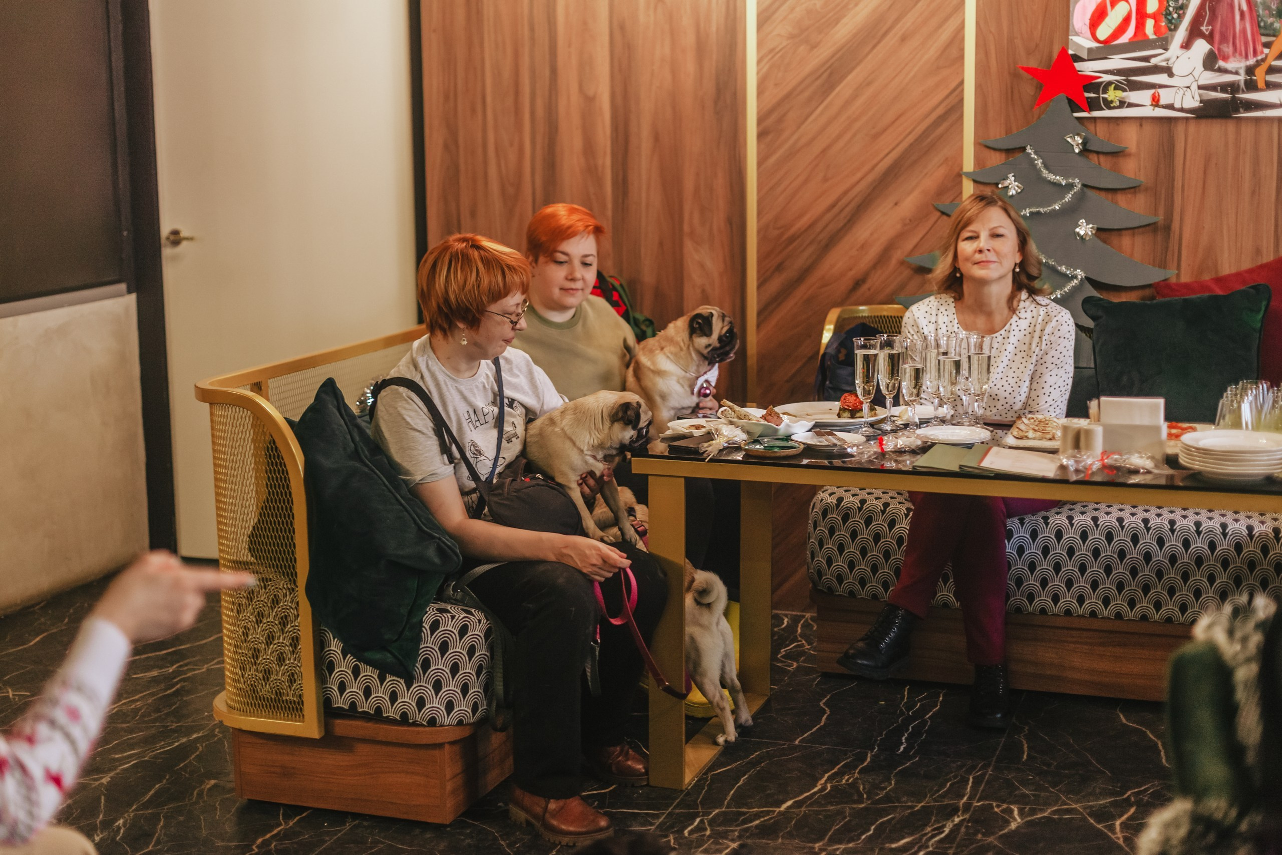 Мопсовстреча 02.12.2023. Фотограф-анималист Татьяна Степанова