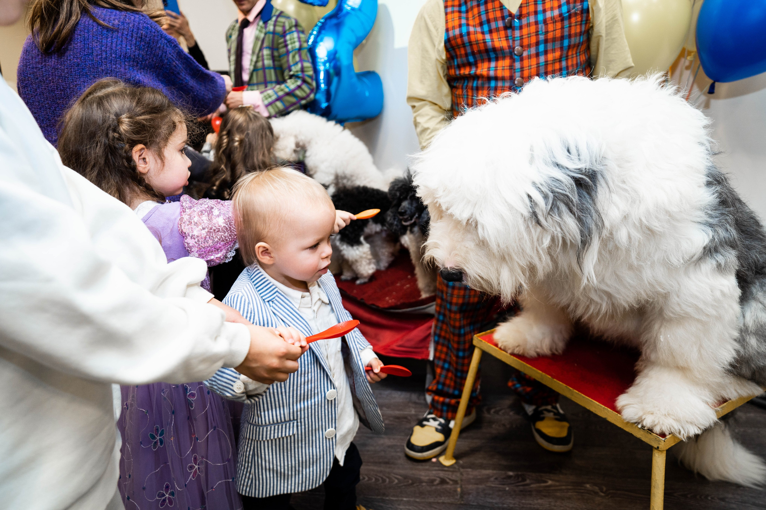 Даниэль h-day. Фотограф Абакумова Анастасия