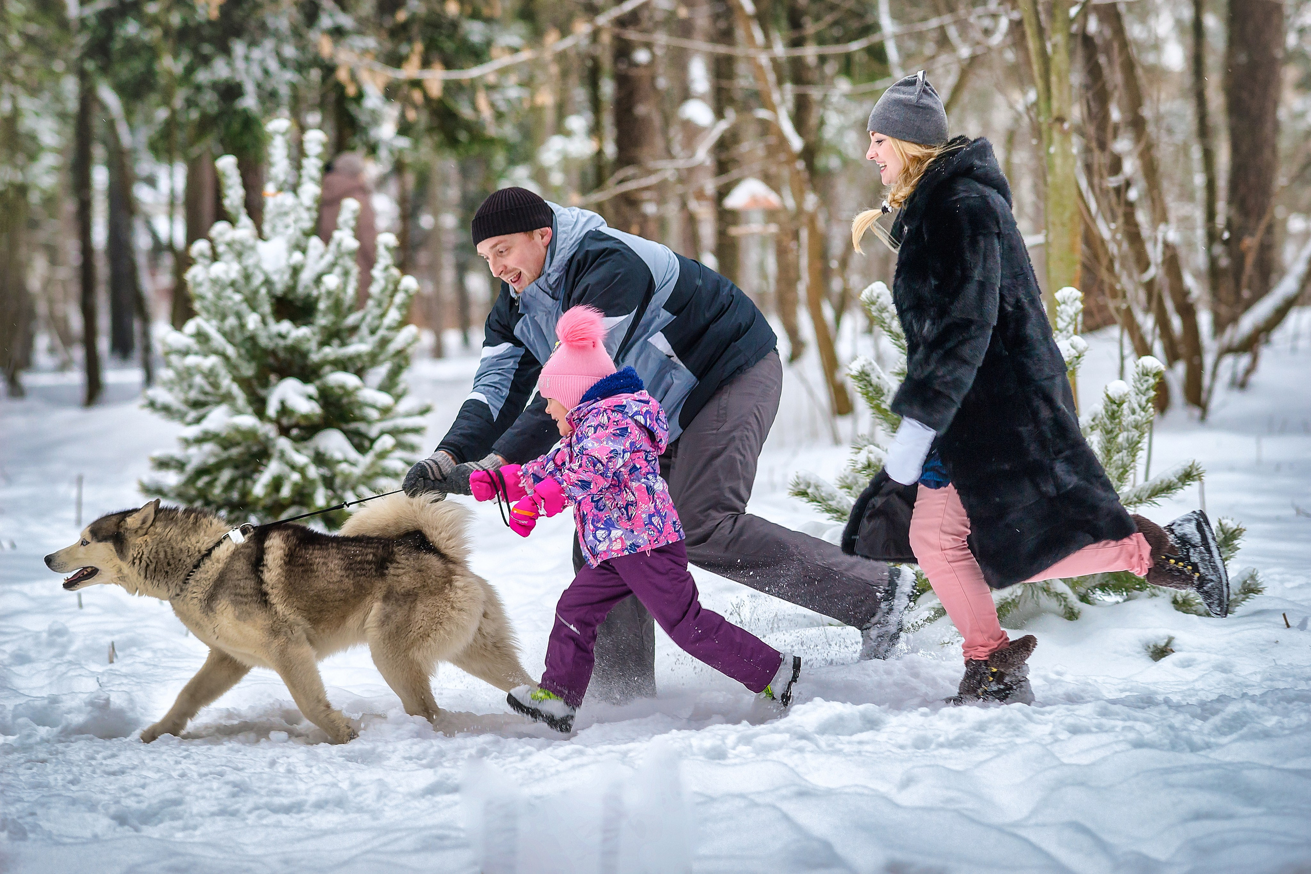 Семейная фотосессия зимой. Фотограф Владимир Артамонов