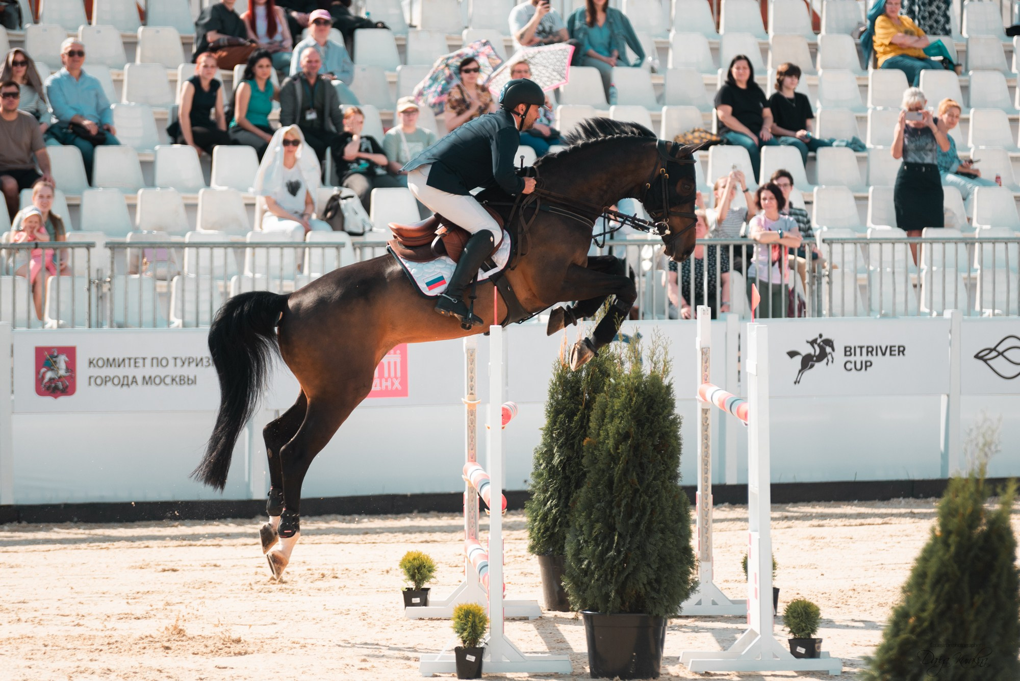 BITRIVER CUP 2023. Конный фотограф Куракина Дарья • Фотосессии с лошадьми