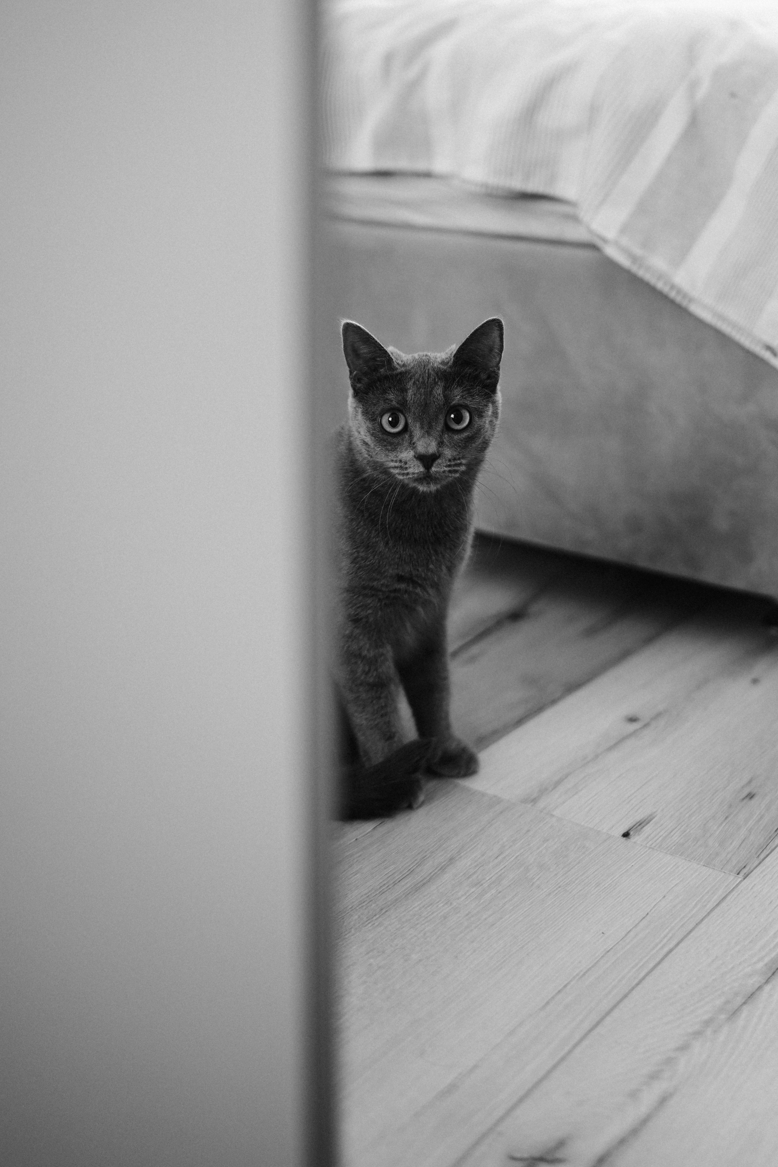 ДПС — Добрый Папа Саши. Фотограф Анна Кобазева, Москва