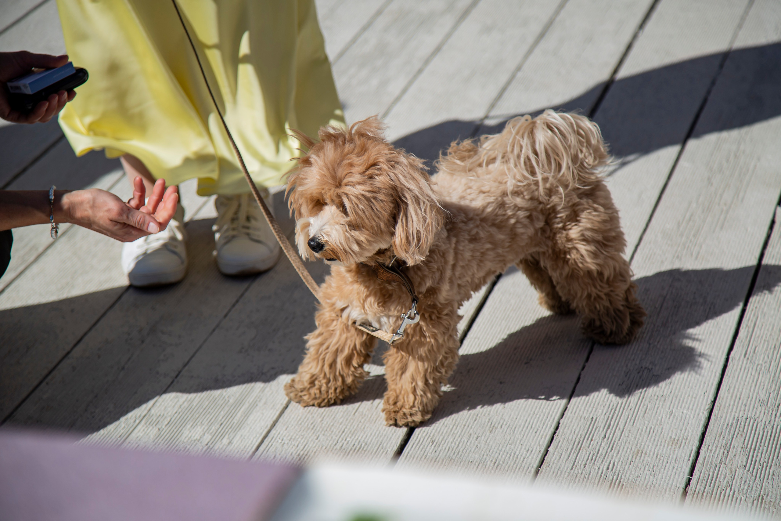 Юбилей. 𝓕𝓸𝓽𝓸𝓰𝓻𝓪𝓯 𝓑𝓪𝓵𝓪𝓼𝓱𝓲𝓱𝓪 / 𝓜𝓸𝓼𝓴𝓿𝓪