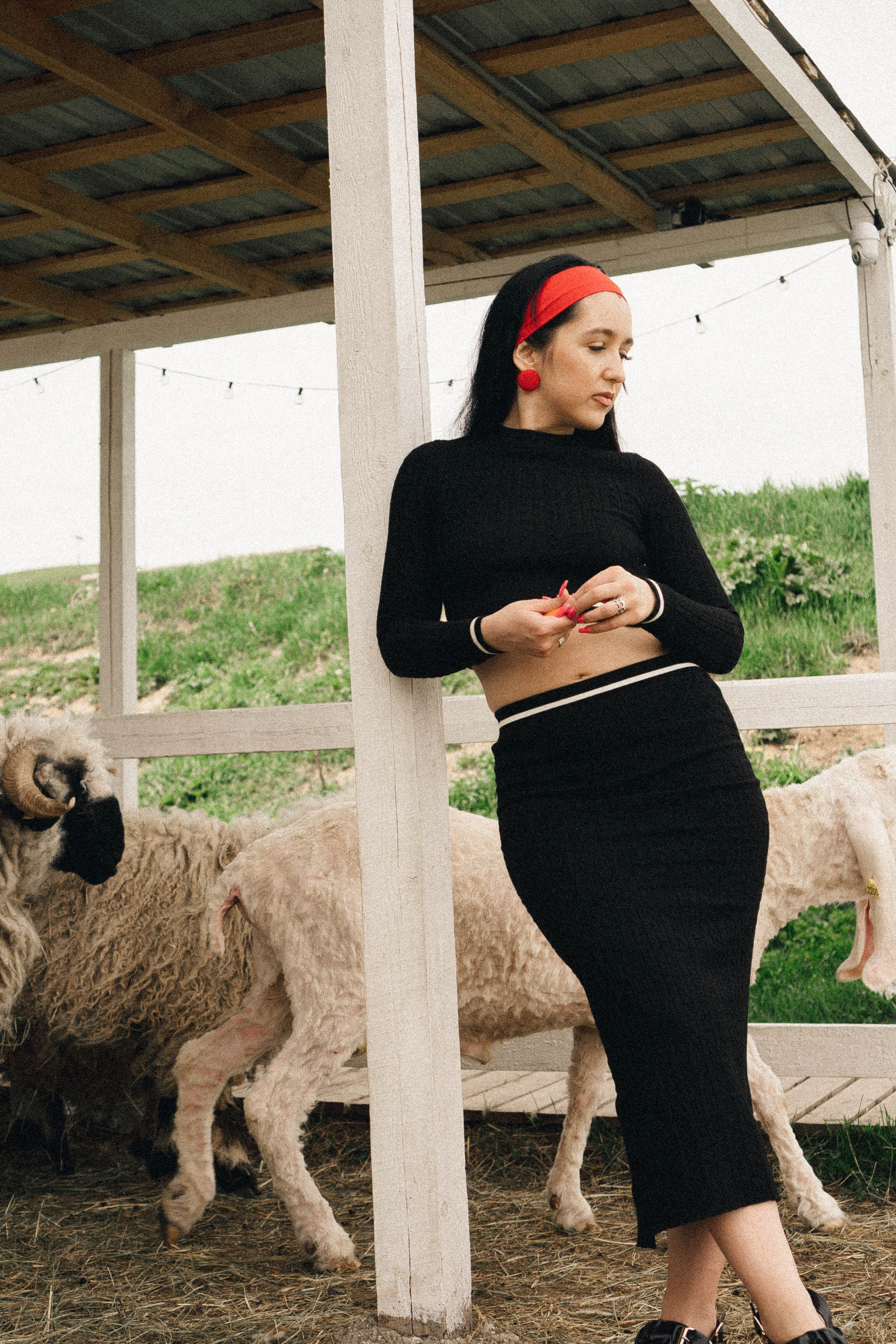 Ферма Альпак. Профессиональный фотограф, Санкт-Петербург — Виктория Богомолова