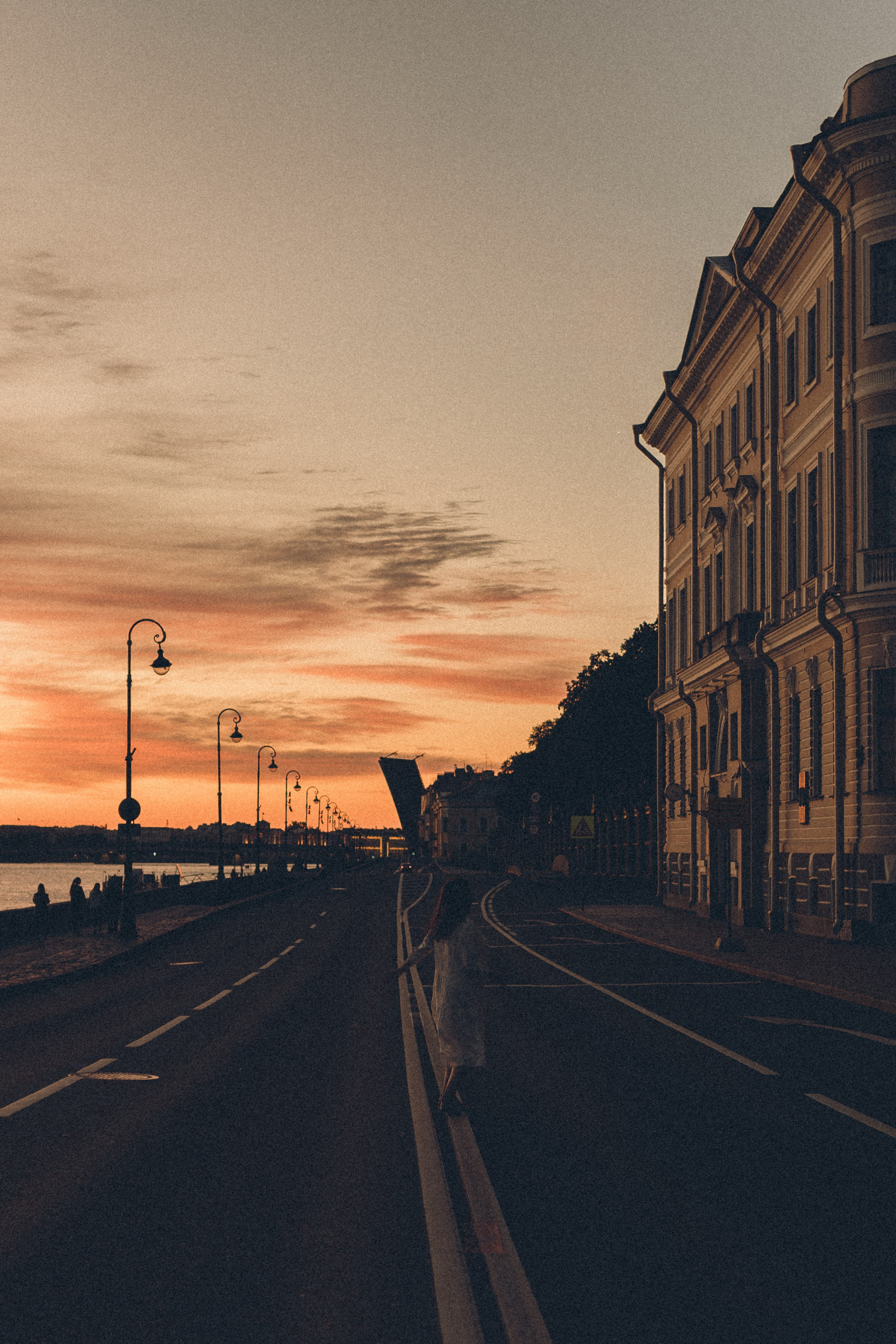 РАССВЕТ С РАЗВОДНЫМИ МОСТАМИ. Профессиональный фотограф, Санкт-Петербург — Виктория Богомолова