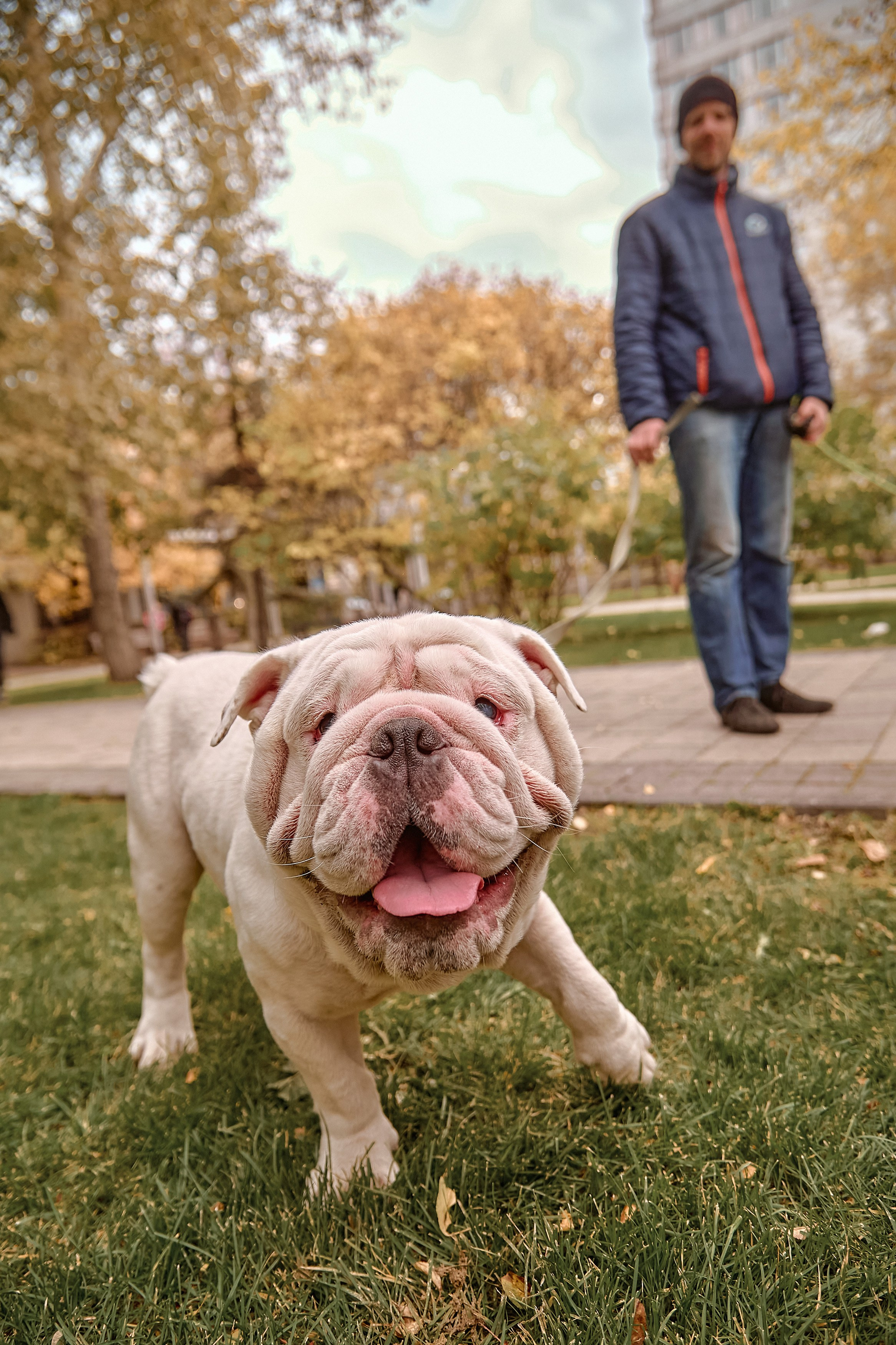 Шаолинь и Школа своего дела — Фестиваль «После уроков». Фотограф Яковлев Роман — Красноярск