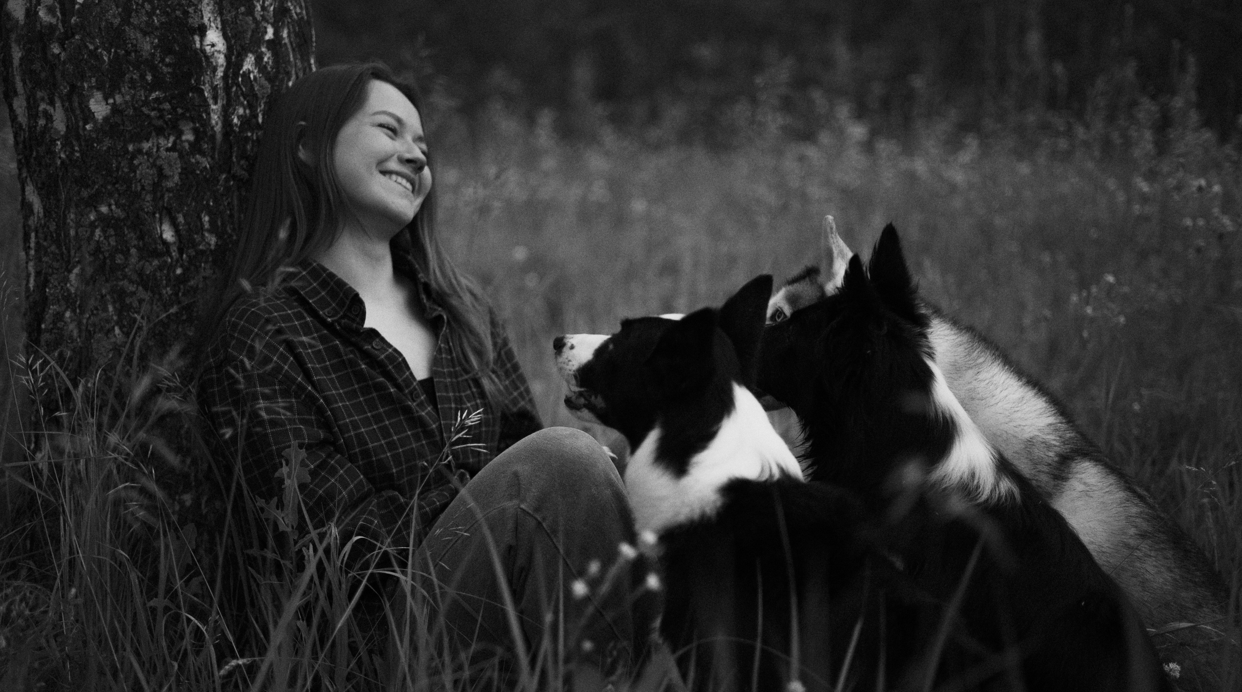 Аделя, Вандер, Шайна и Бая. Фотограф-анималист Богданова Полина