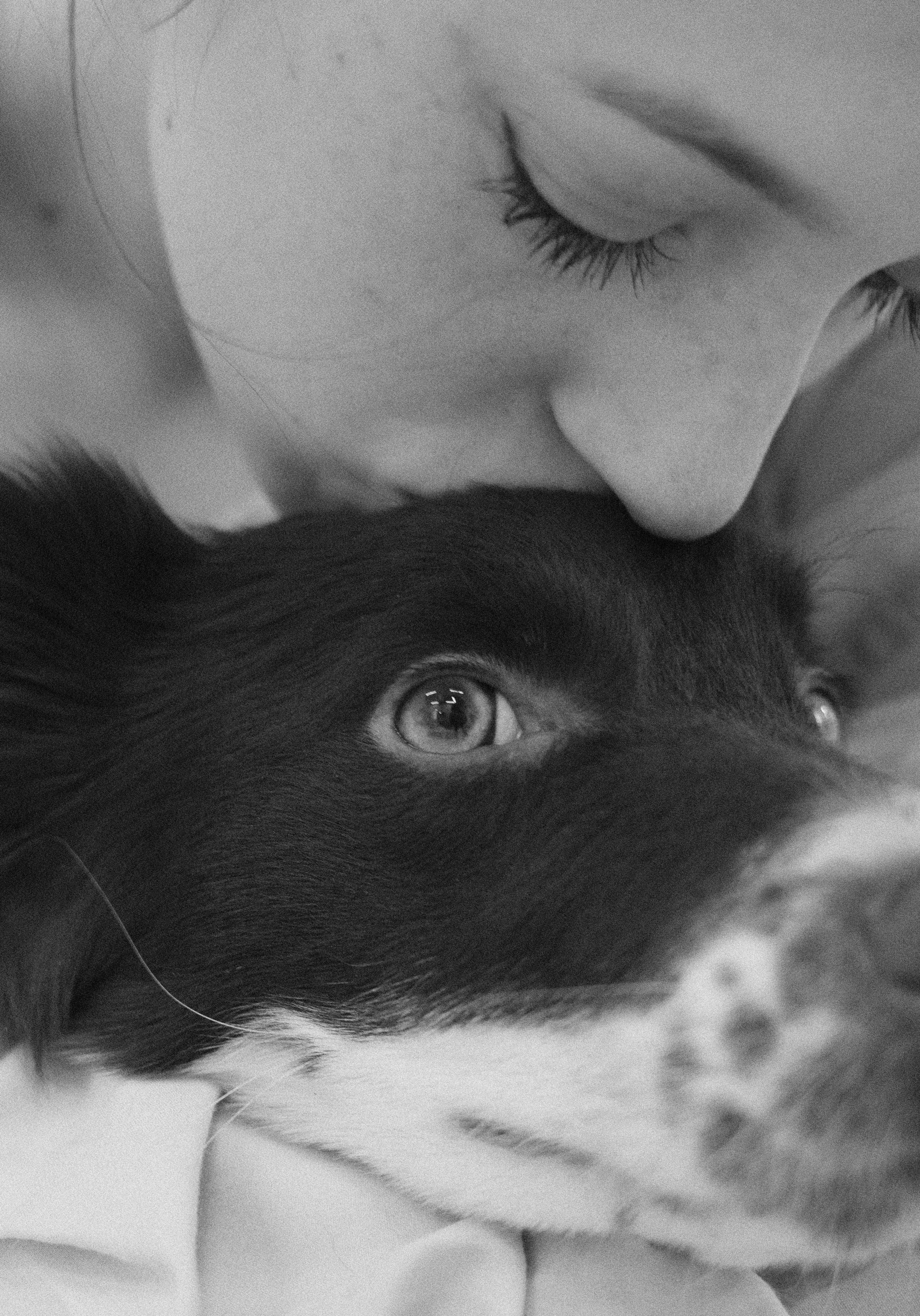 Алена и Гвендолин. Фотограф-анималист Богданова Полина