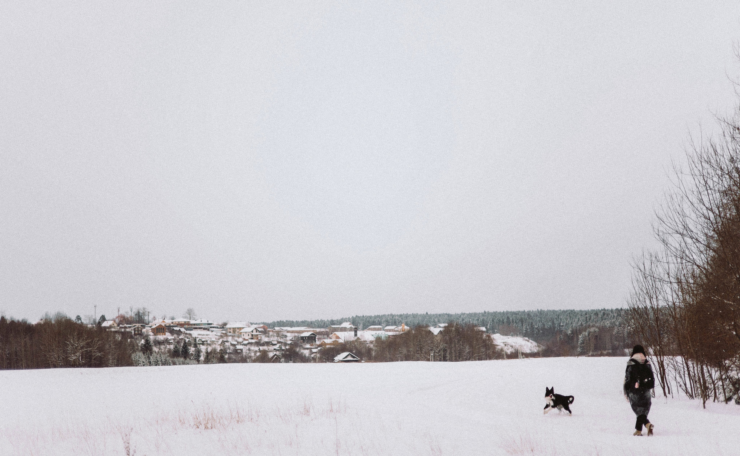 Алина и Найт. Фотограф-анималист Богданова Полина