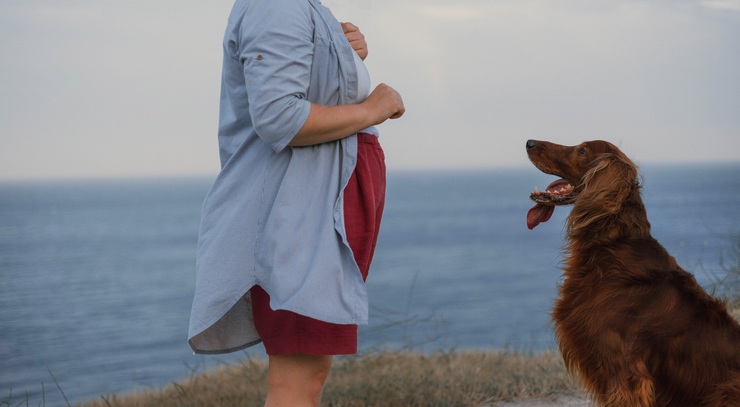 Ольга и Шеймас. Фотограф-анималист Богданова Полина