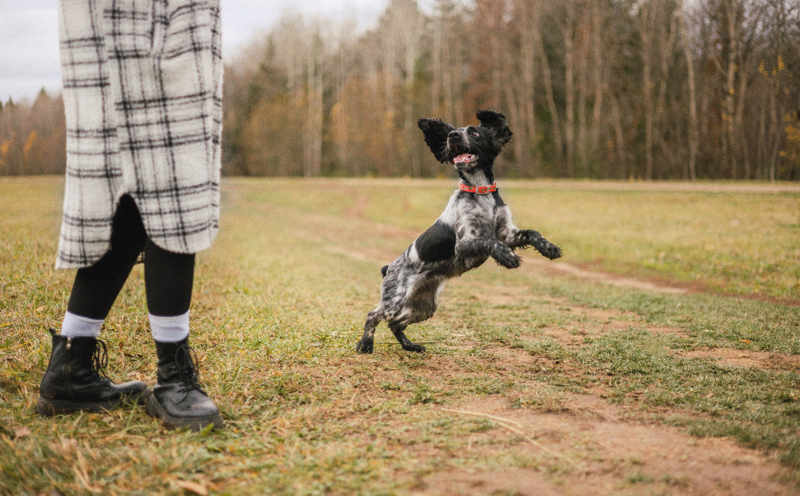 Вика и Ава. Фотограф-анималист Богданова Полина