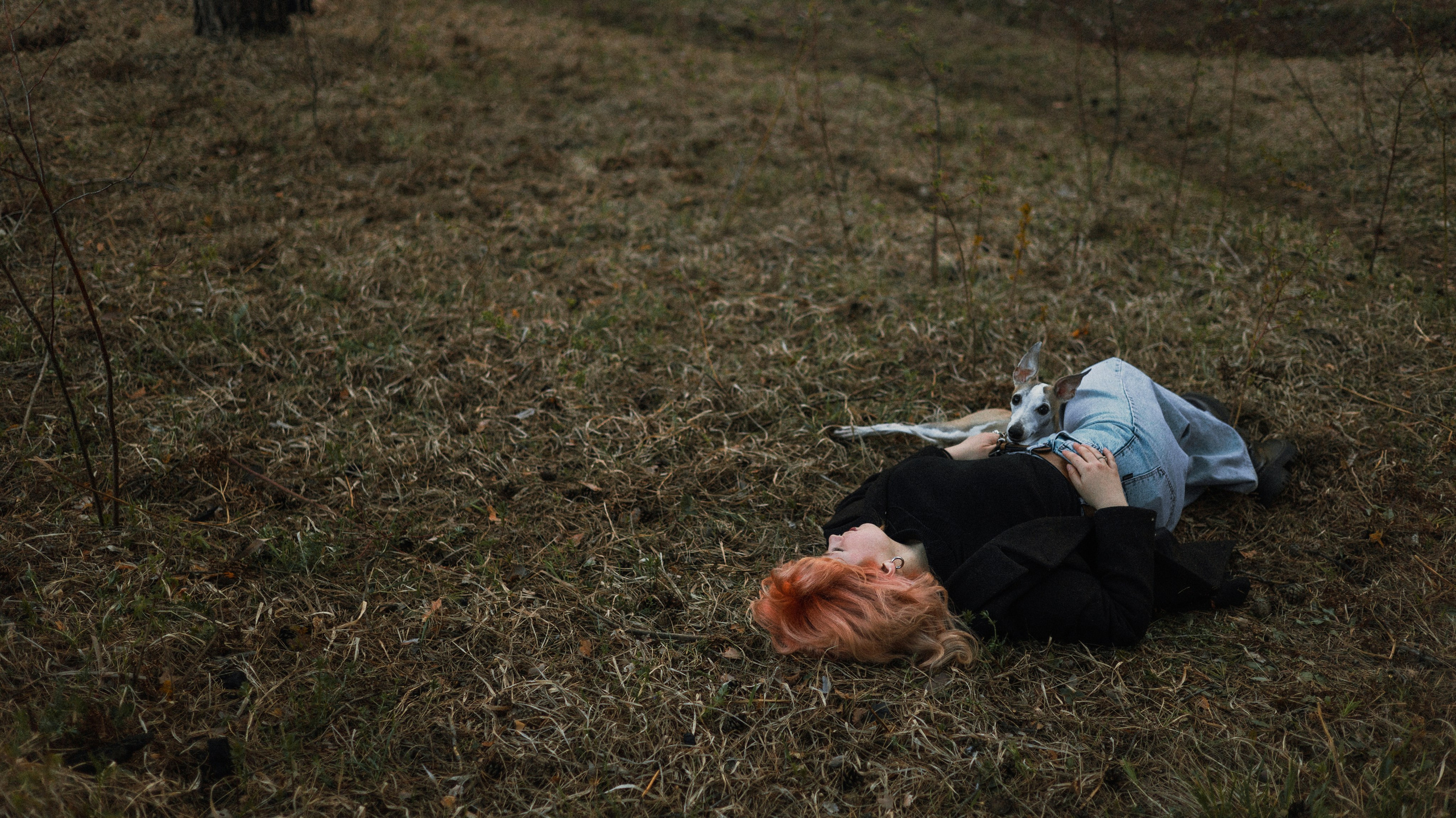 Вика, Джем и Белла. Фотограф-анималист Богданова Полина