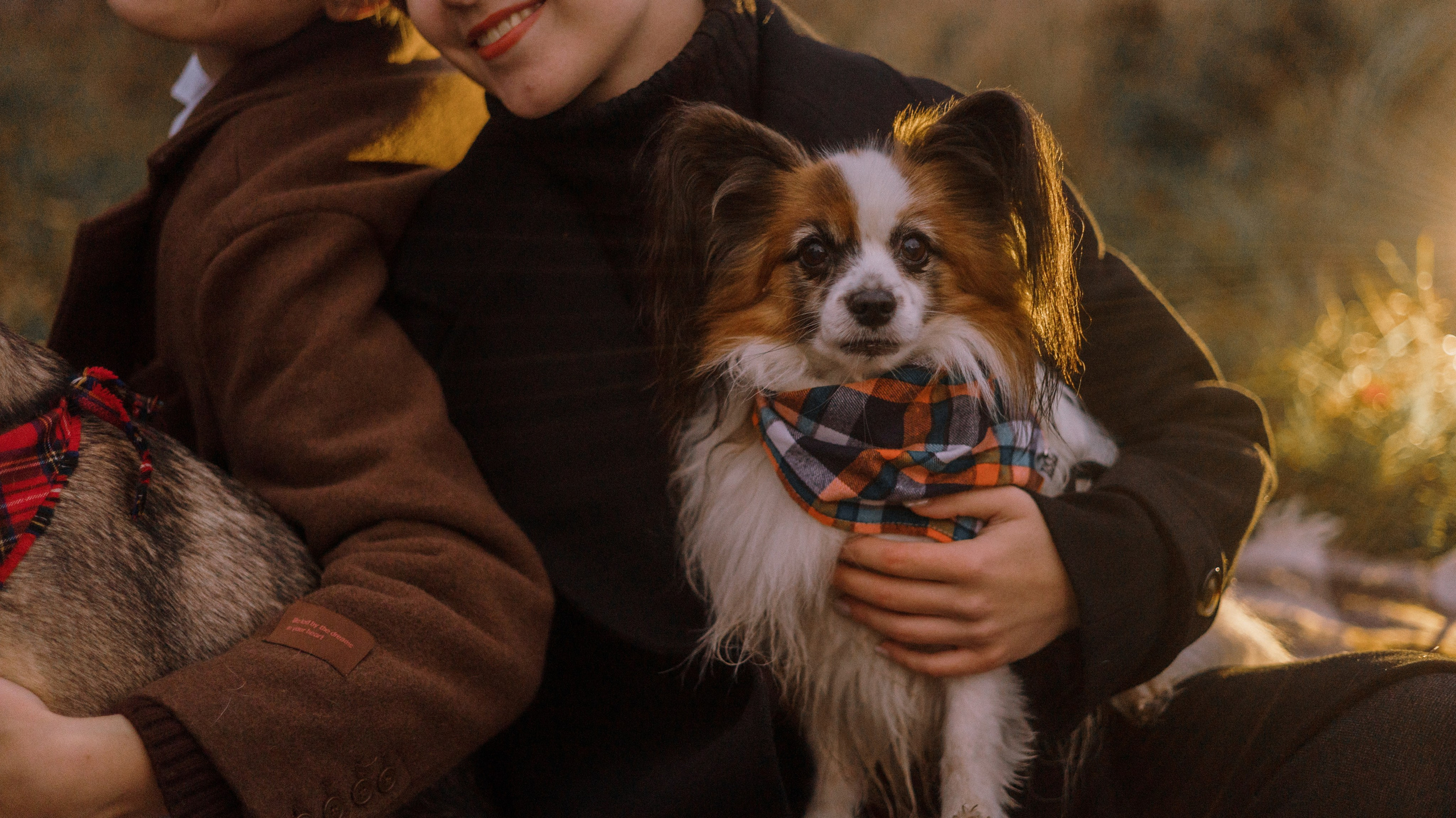 Маша, Катя, Астрид и Мася. Фотограф-анималист Богданова Полина