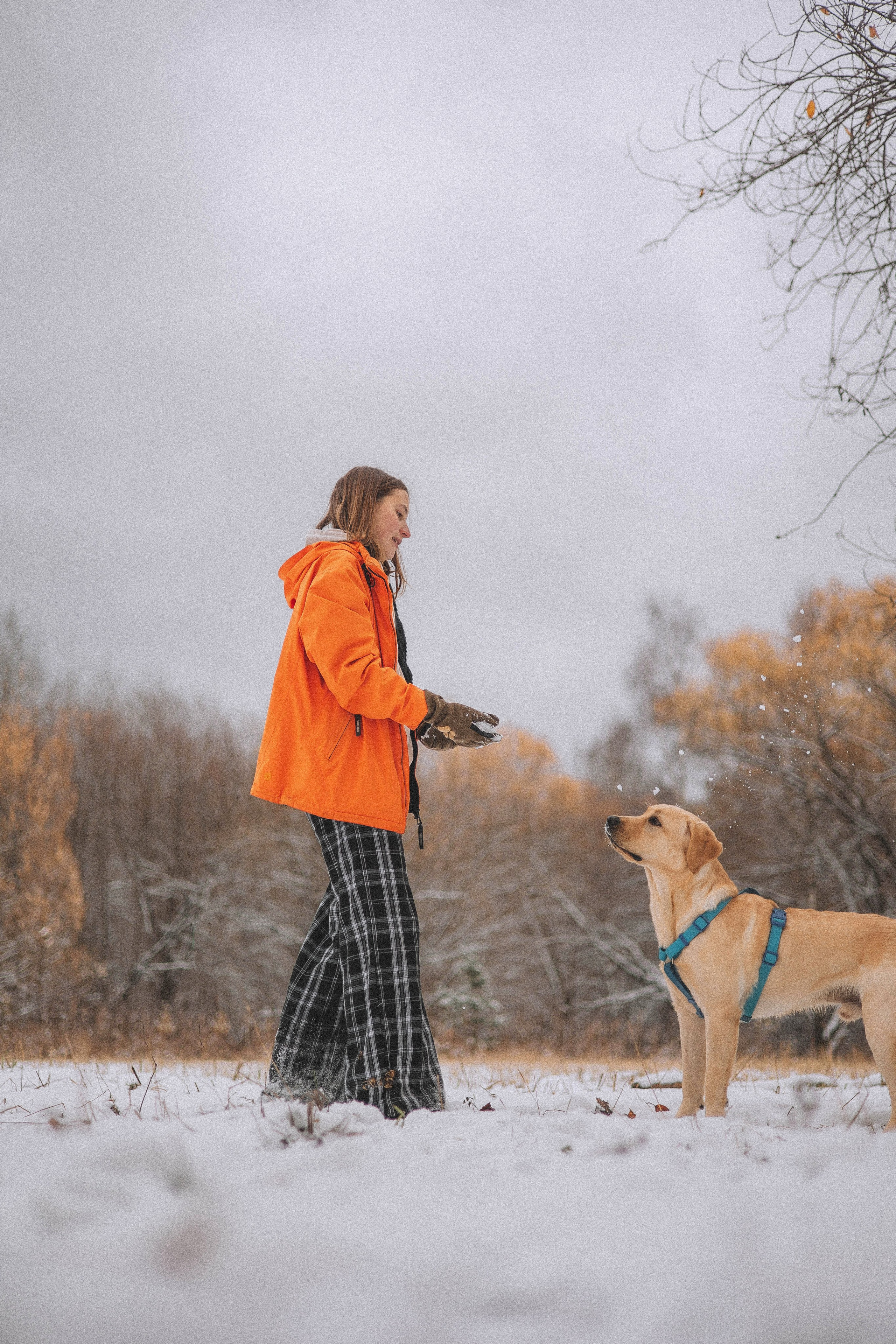 Маргарита и Варди. Фотограф-анималист Богданова Полина