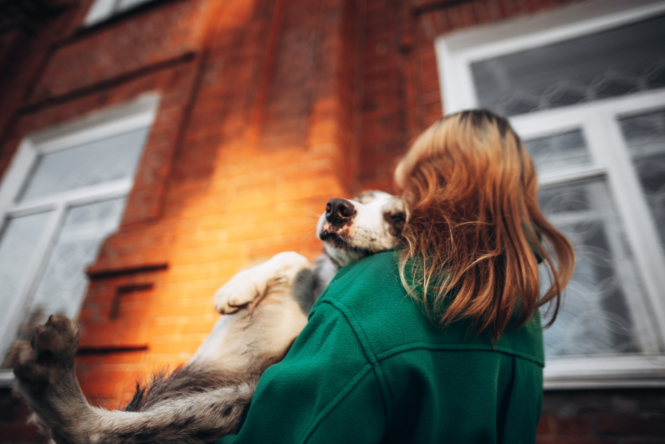 Диана и Робин. Фотограф-анималист Богданова Полина