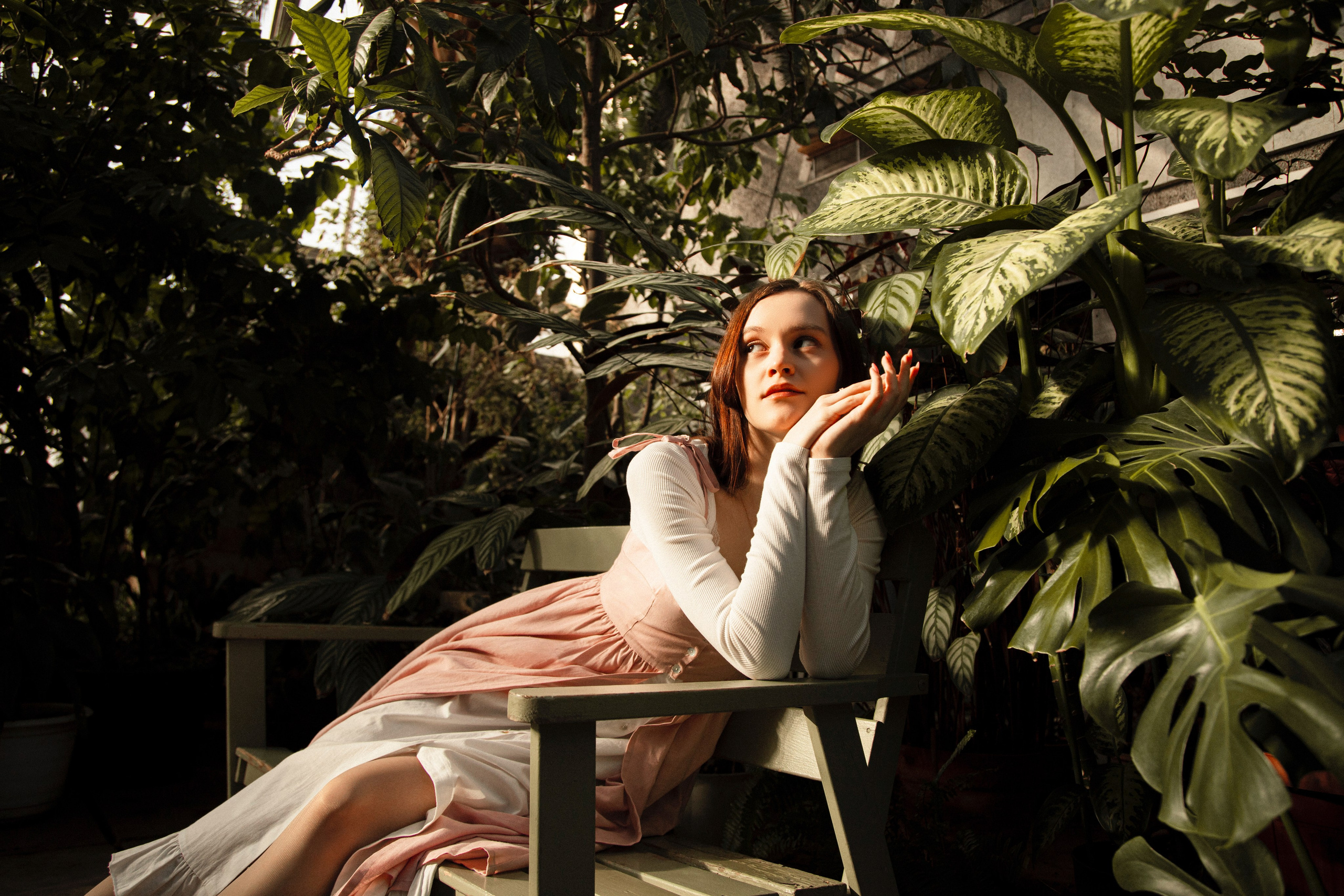 Оранжерея Таврического сада