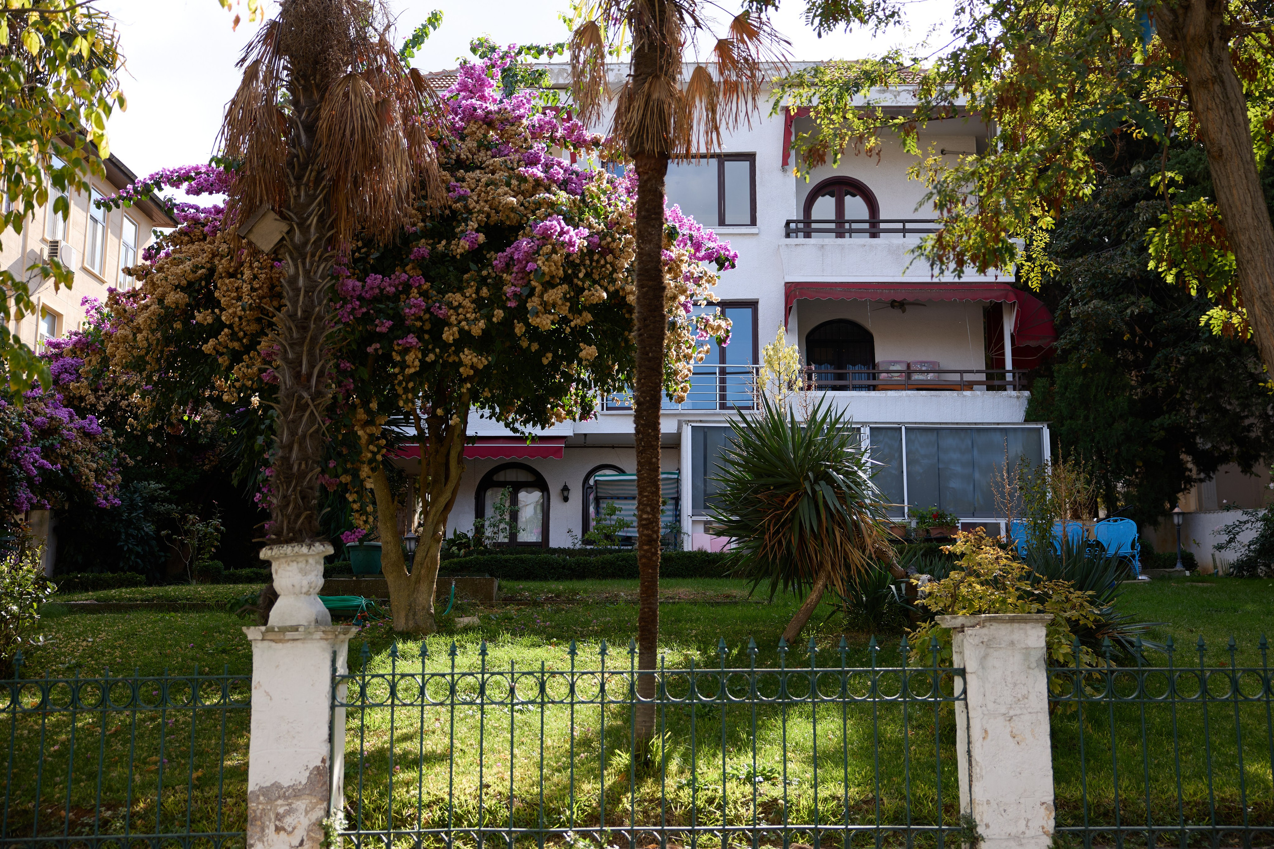 Стамбул 24. Фотограф Москва, Дима Пеллер