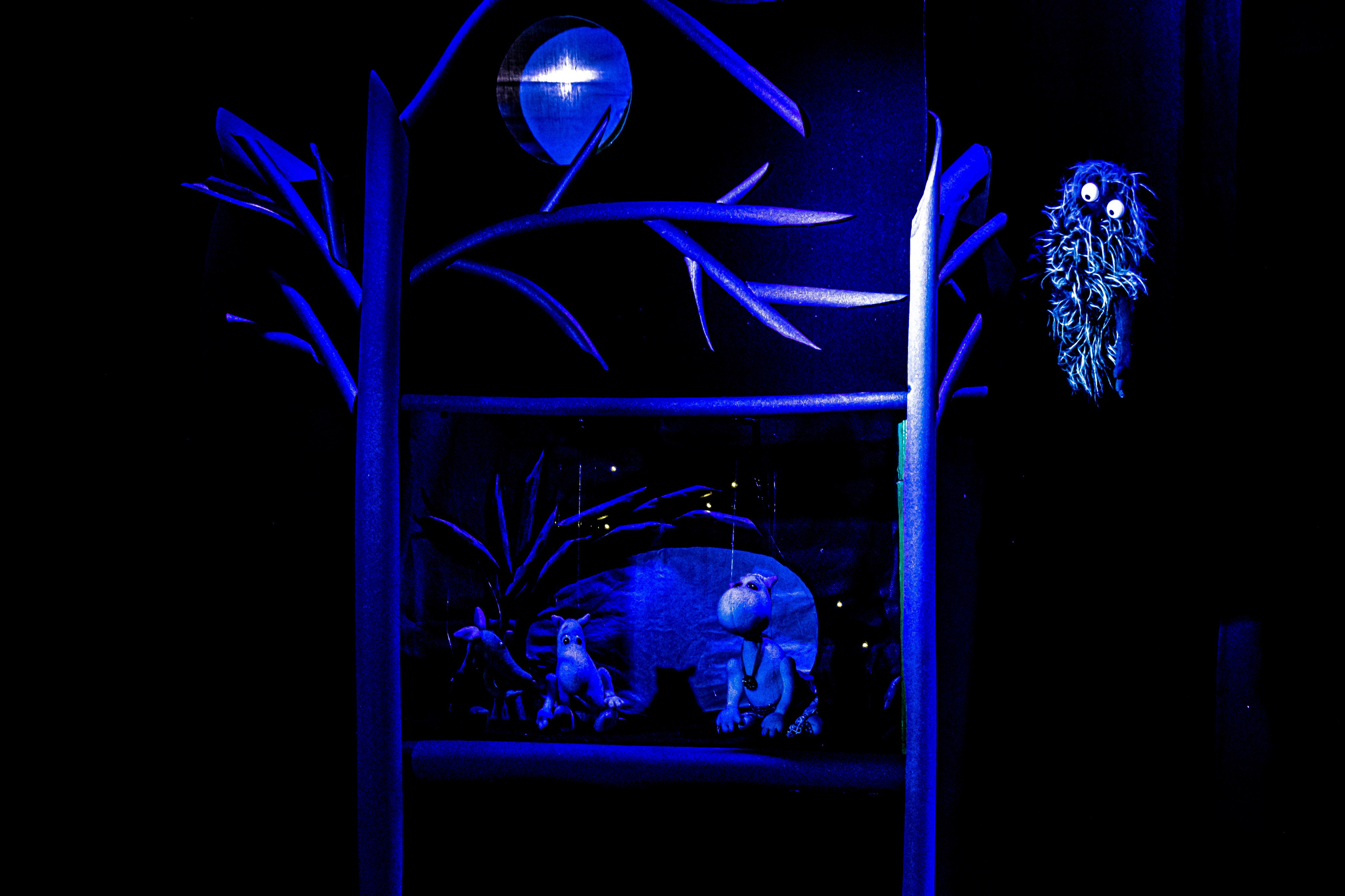 «Муми тролли и большое наводнение». Фотограф в Сочи Юрий Шептаев