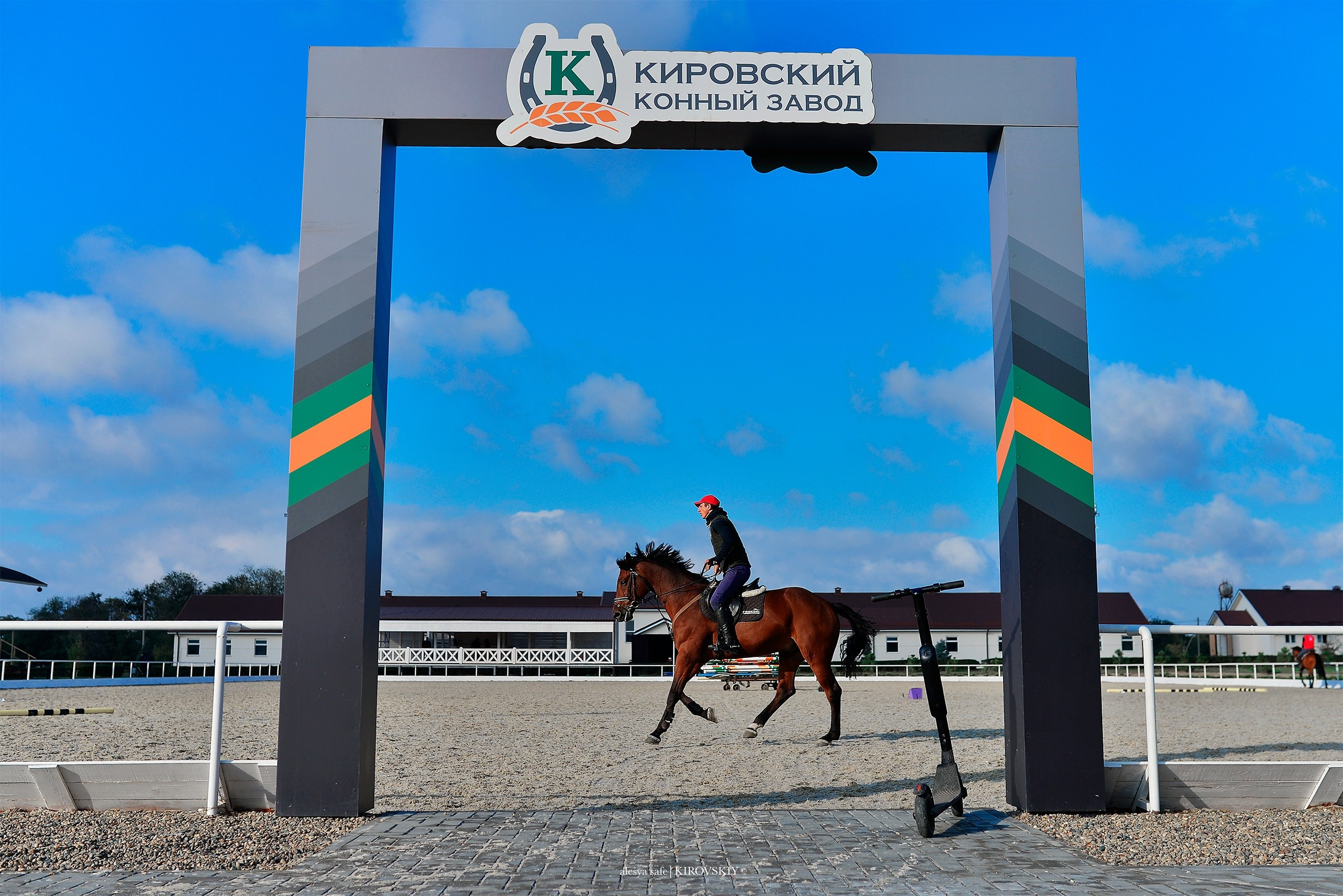 Кировский конный завод. Конный фотограф Alesya Safe
